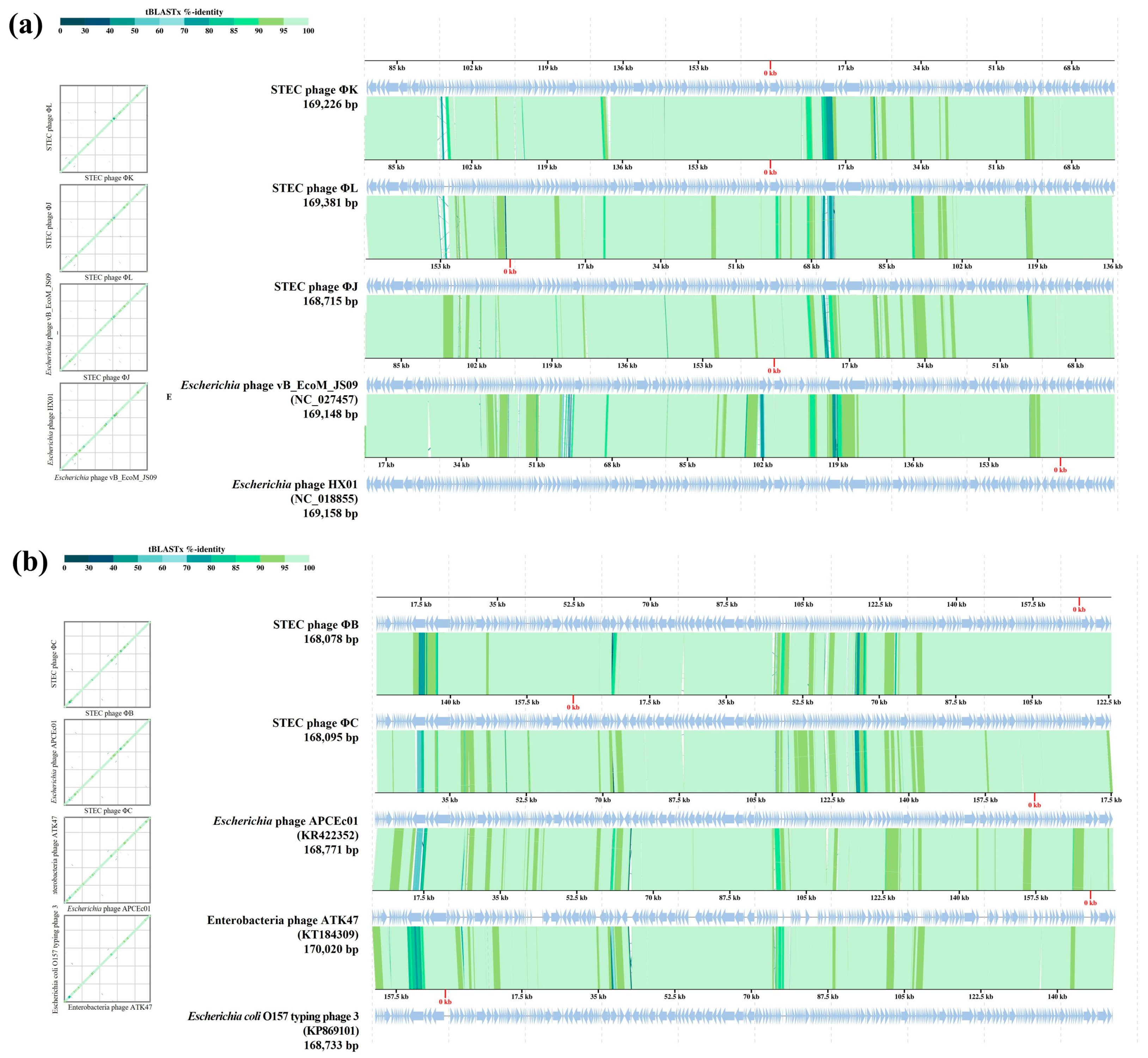 Viruses 17 01501 g010