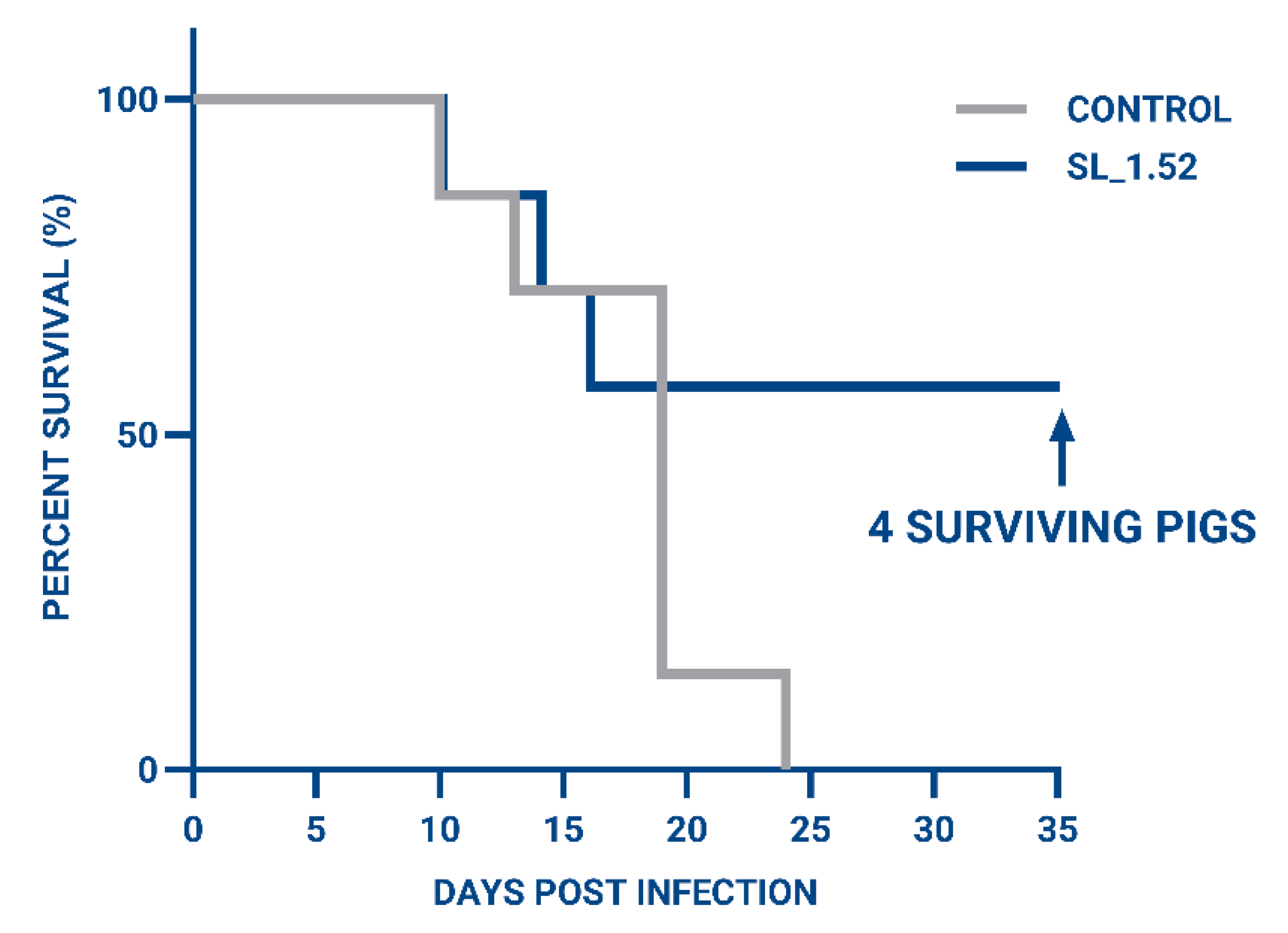 Viruses 17 01504 g004