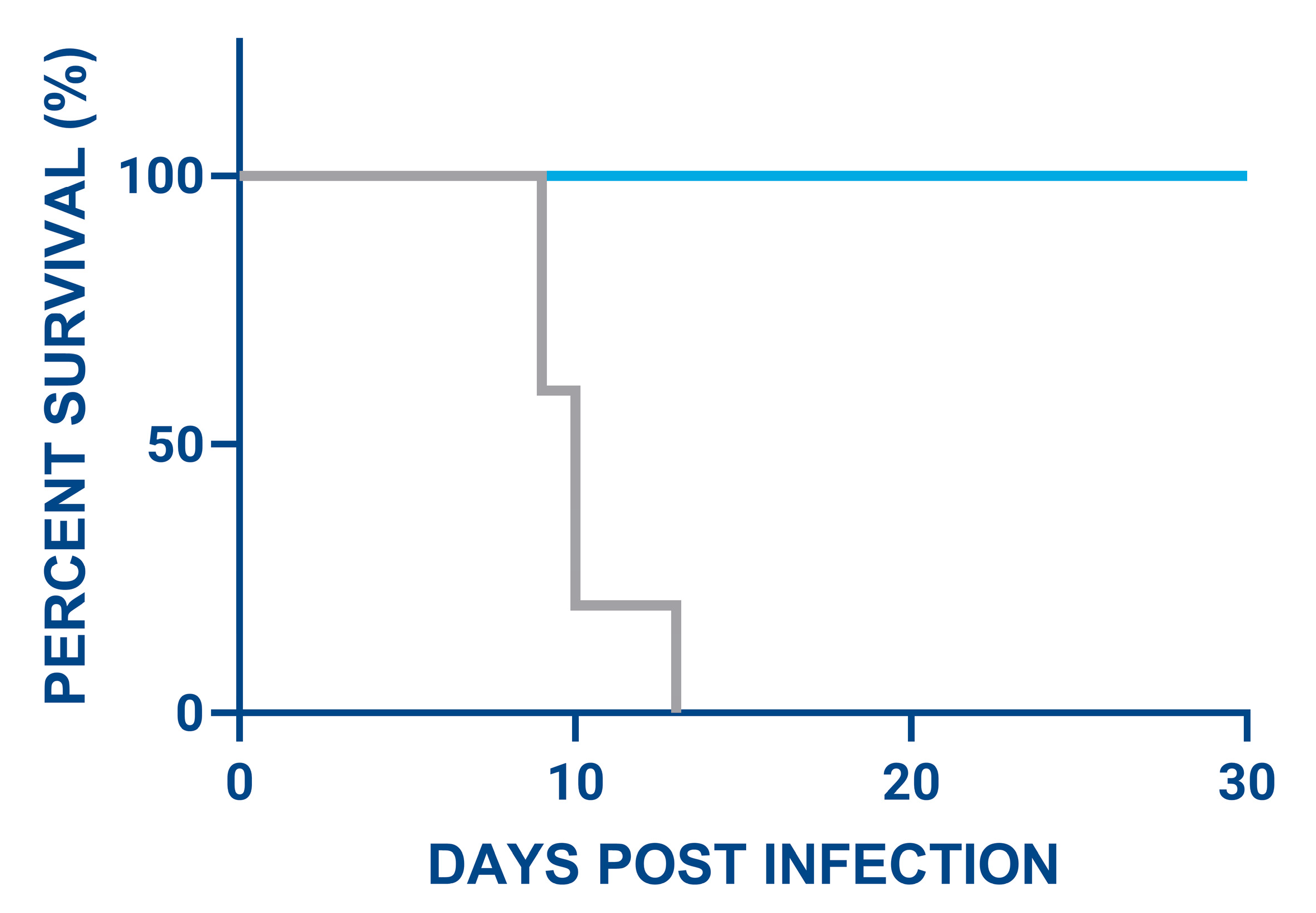 Viruses 17 01504 g006