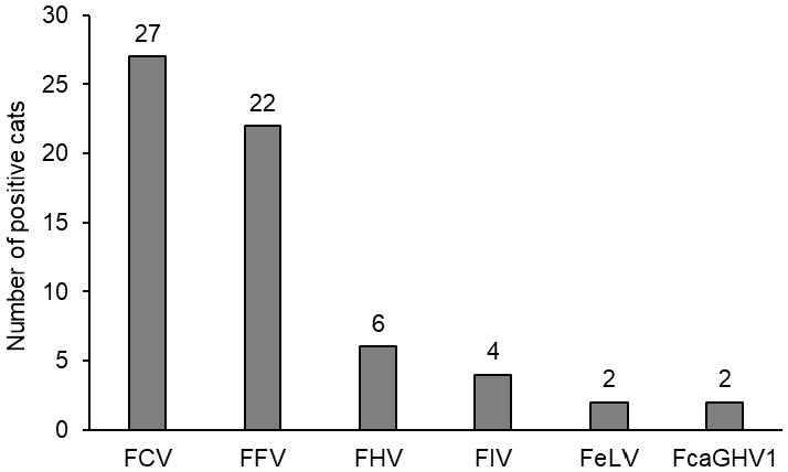 Viruses 17 01505 g004