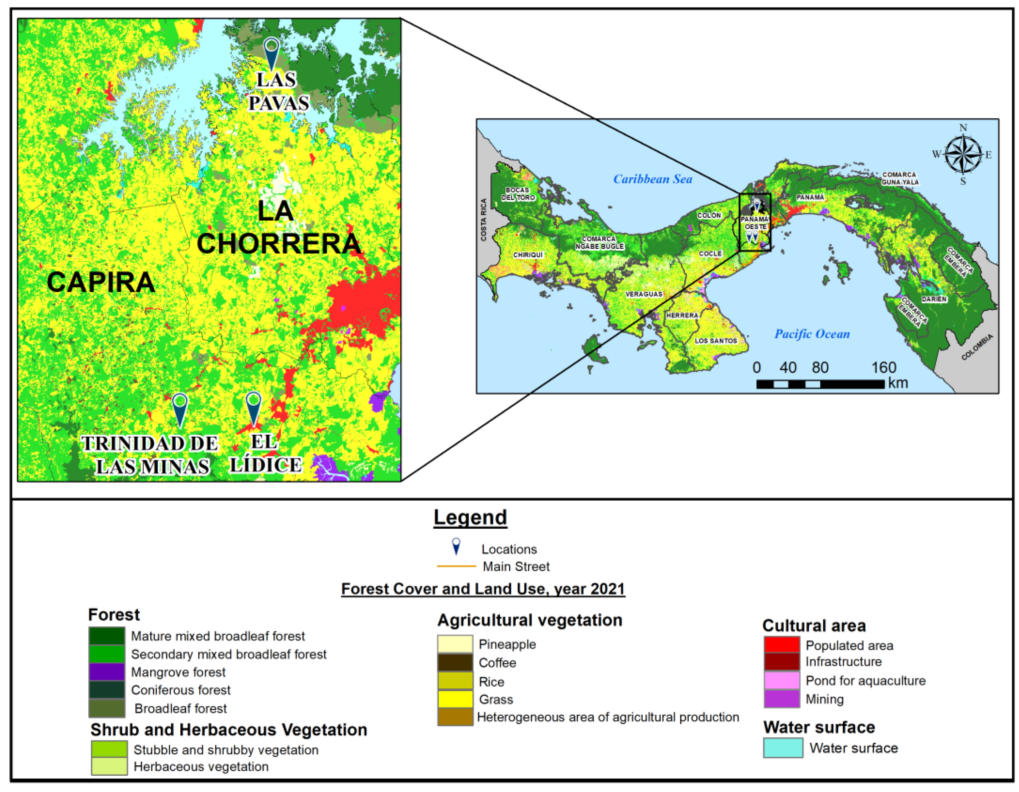 Viruses 17 01507 g001 Viruses 17 01507 g001