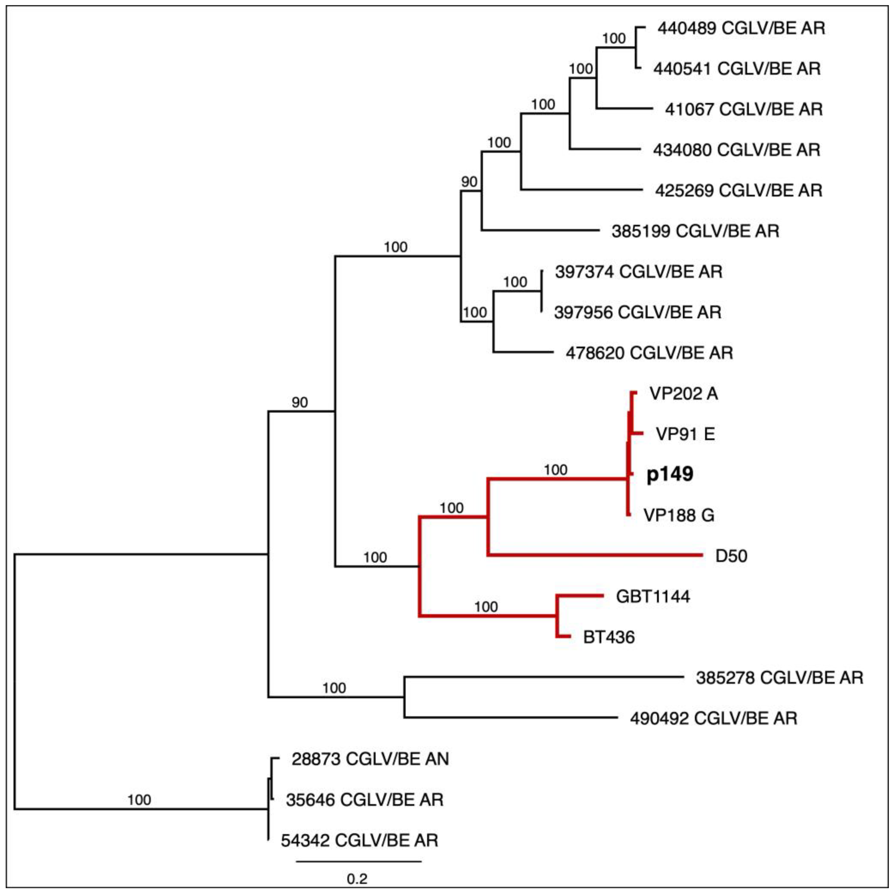 Viruses 17 01507 g002 Viruses 17 01507 g002