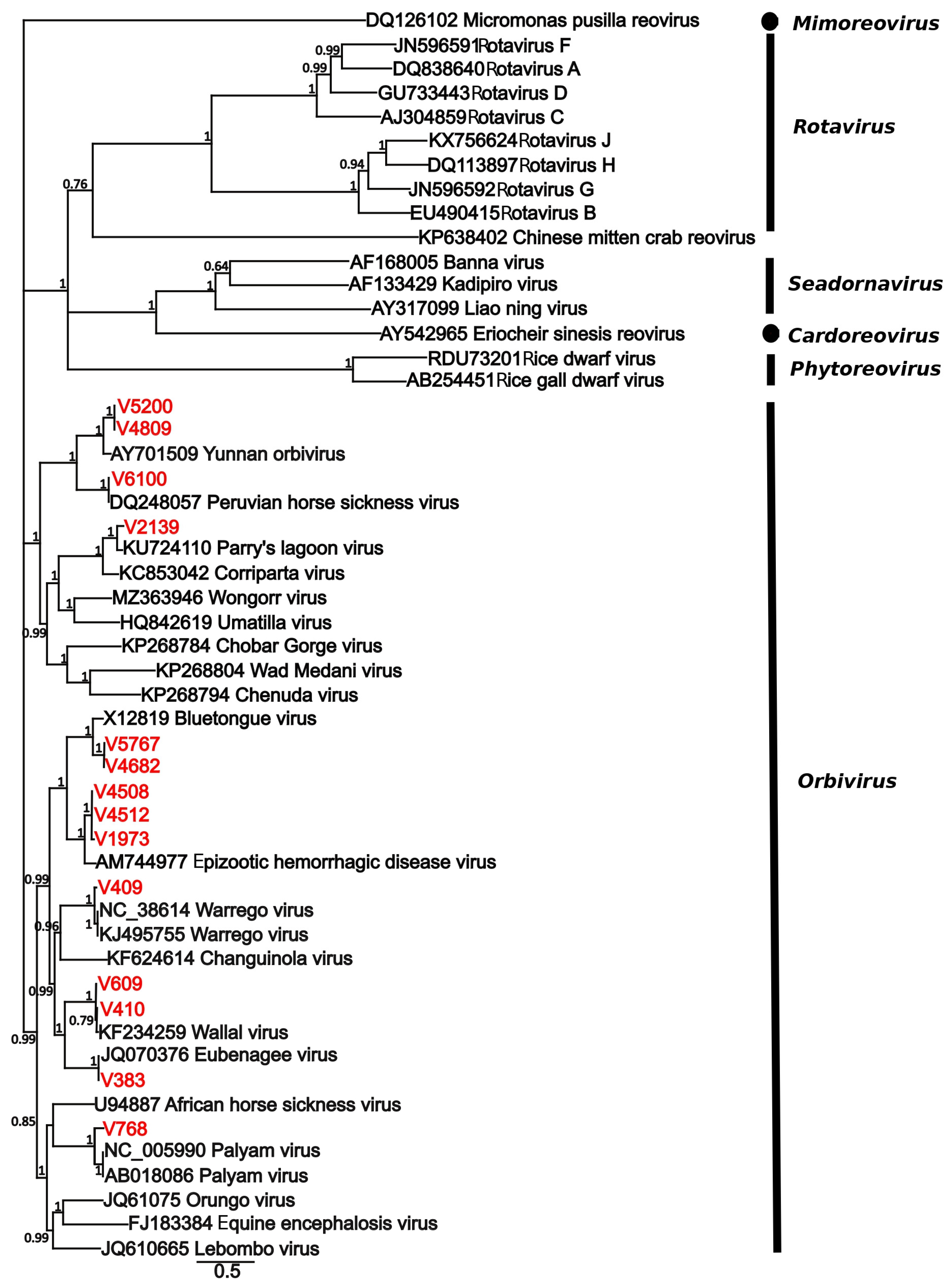 Viruses 17 01513 g001