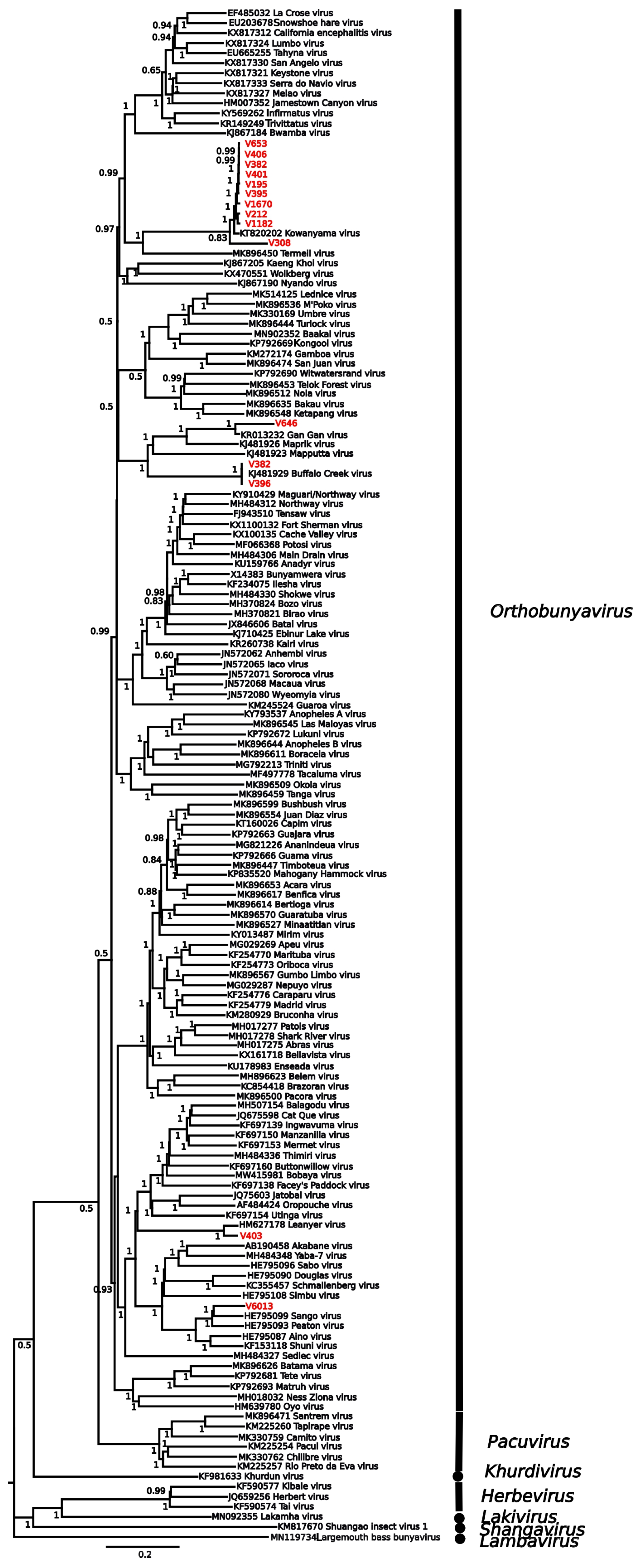 Viruses 17 01513 g002