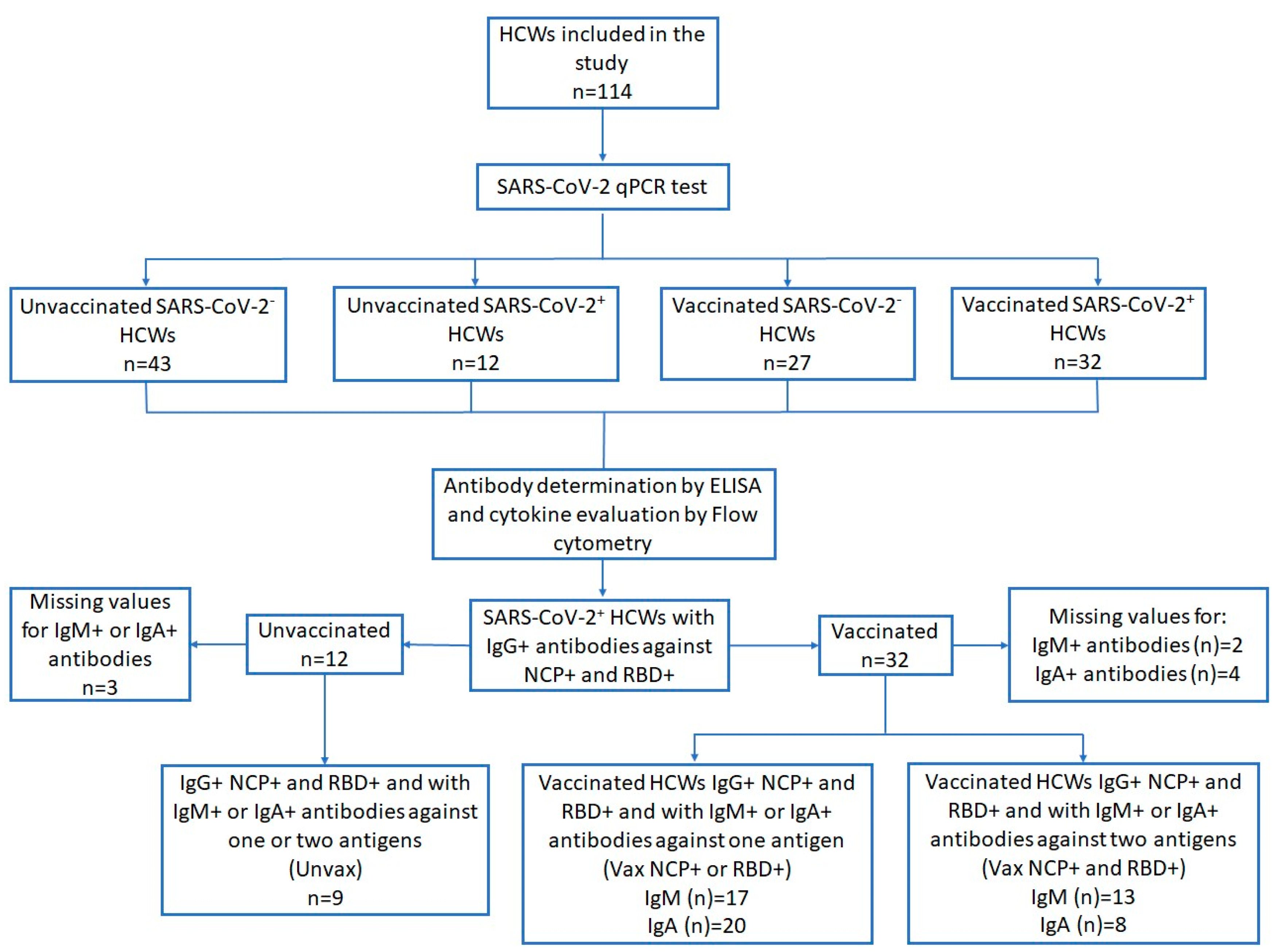 Viruses 17 01517 g001