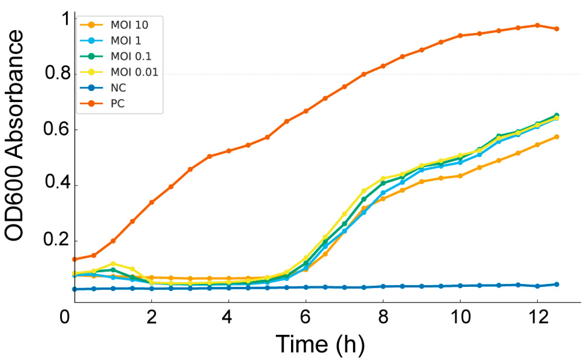 Viruses 17 01518 g002