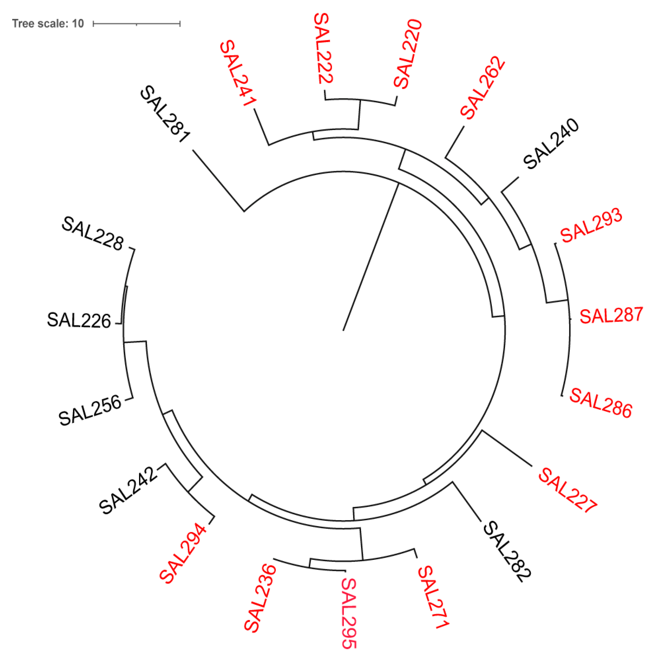 Viruses 17 01518 g003