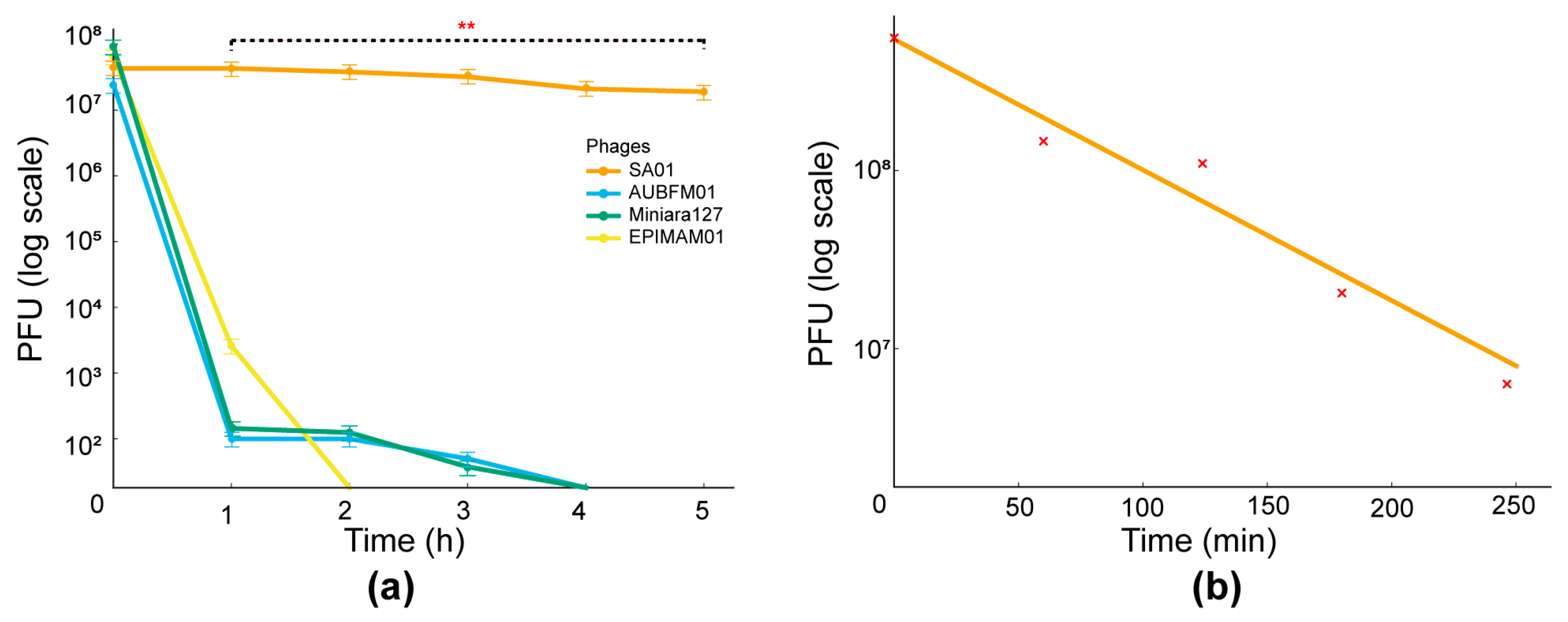 Viruses 17 01518 g006