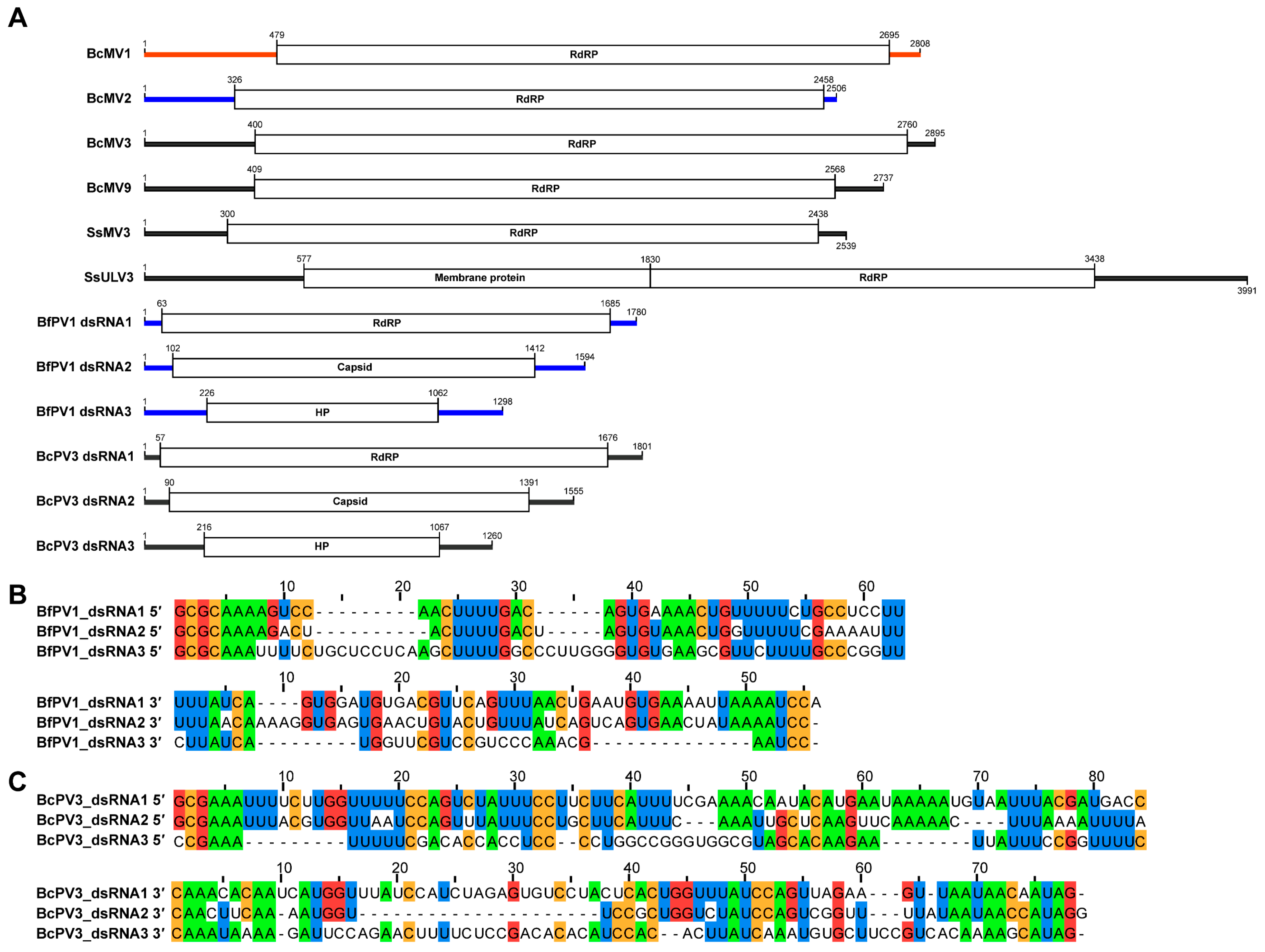Viruses 17 01527 g004