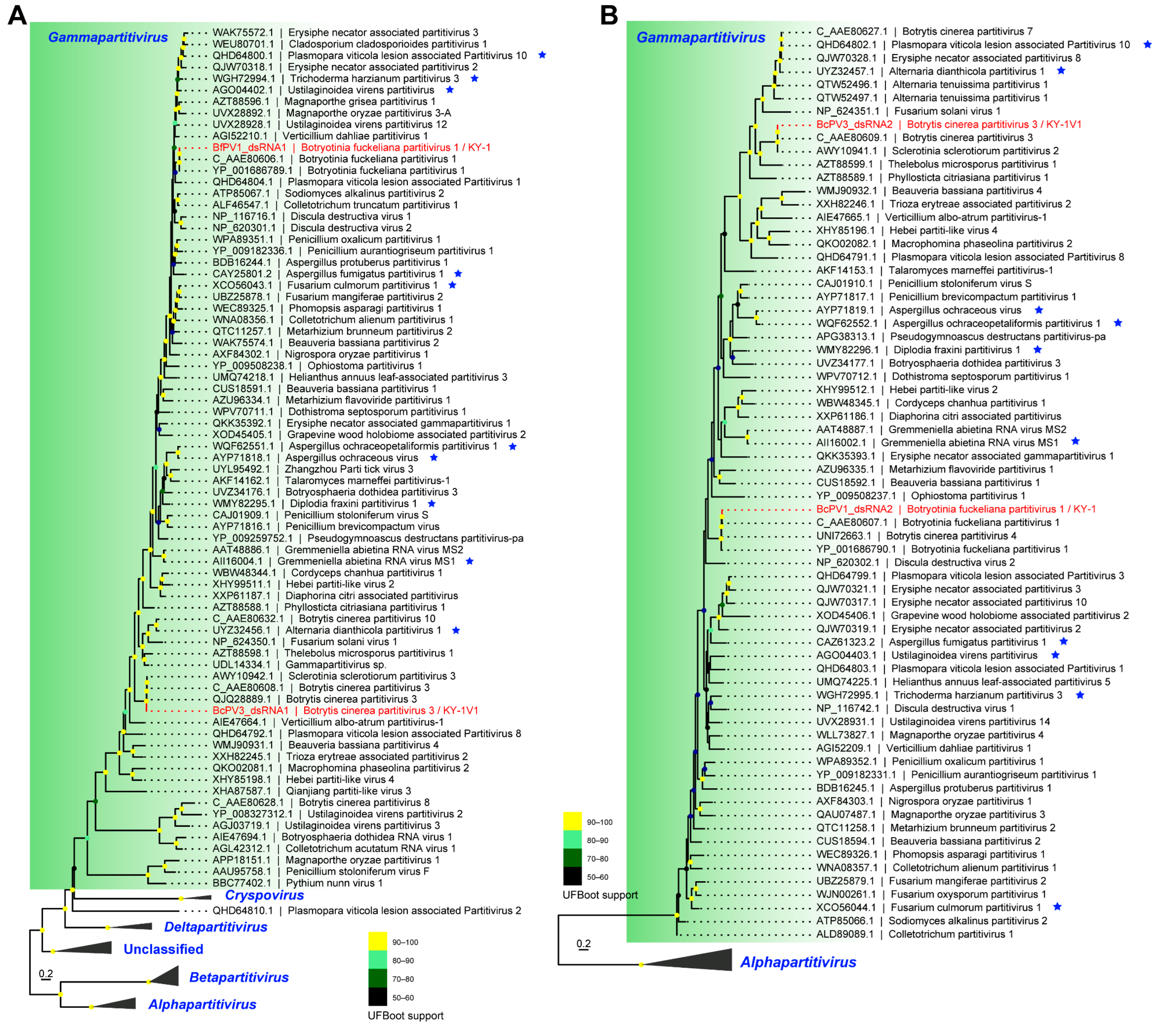 Viruses 17 01527 g005