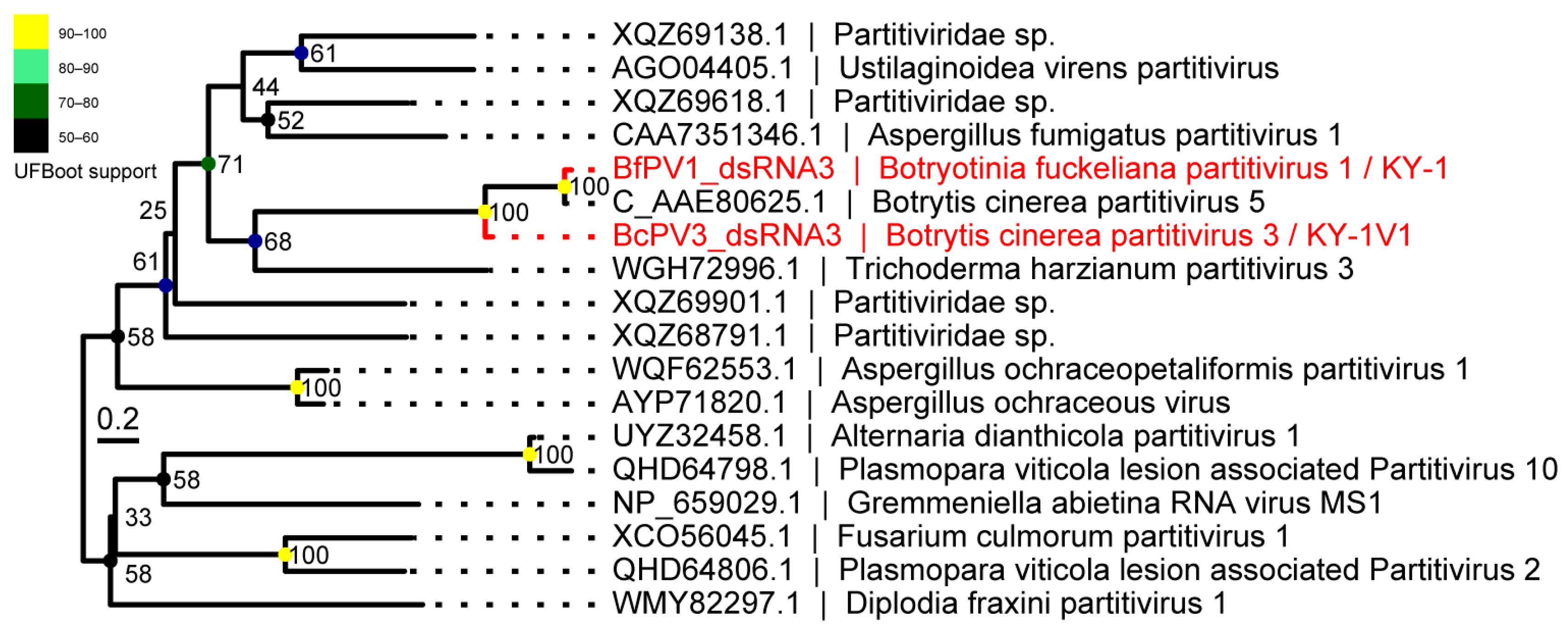 Viruses 17 01527 g006