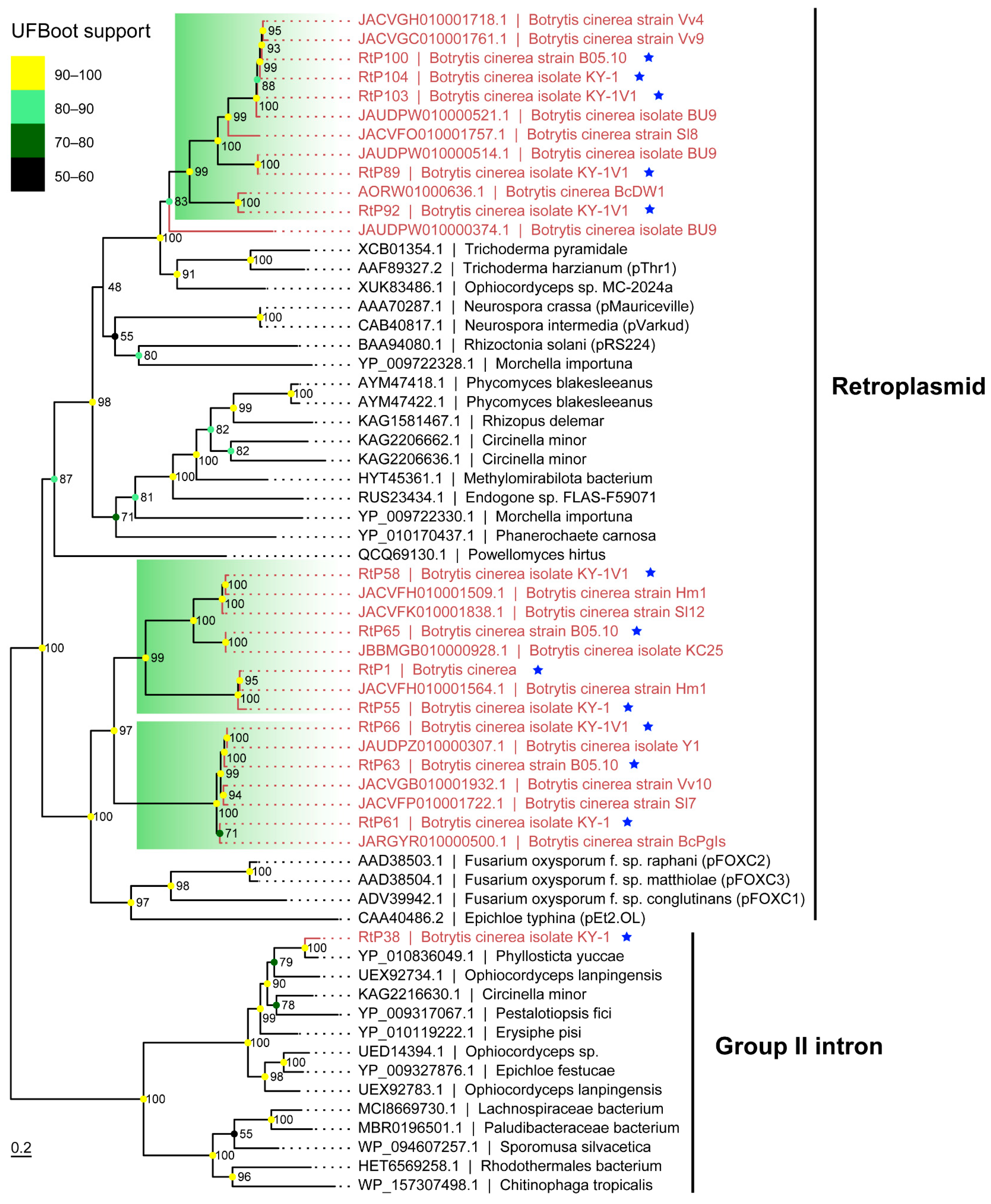 Viruses 17 01527 g008
