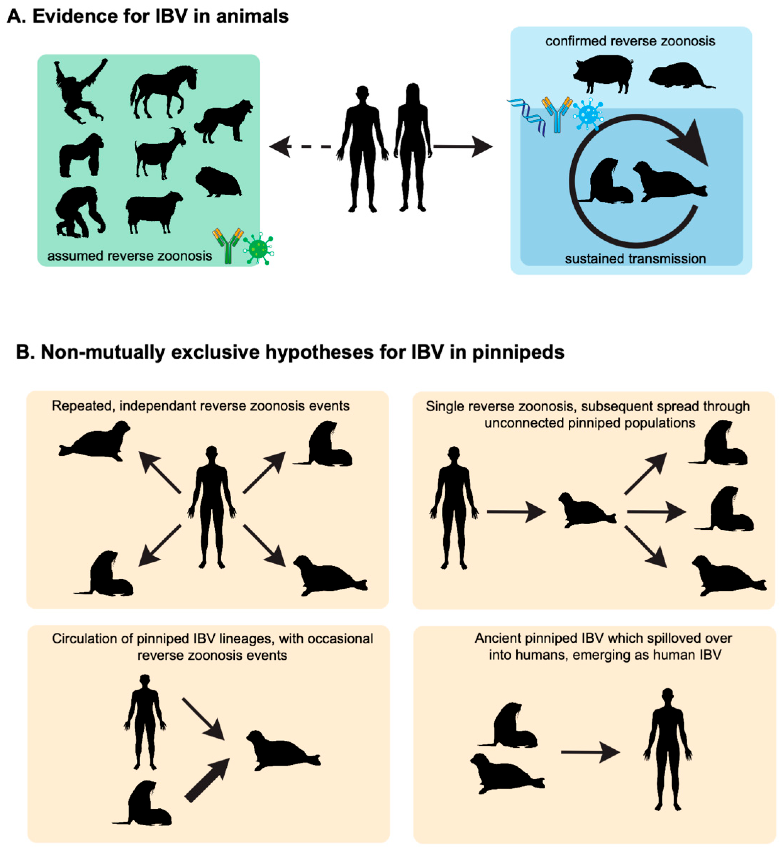 Viruses 17 01528 g001