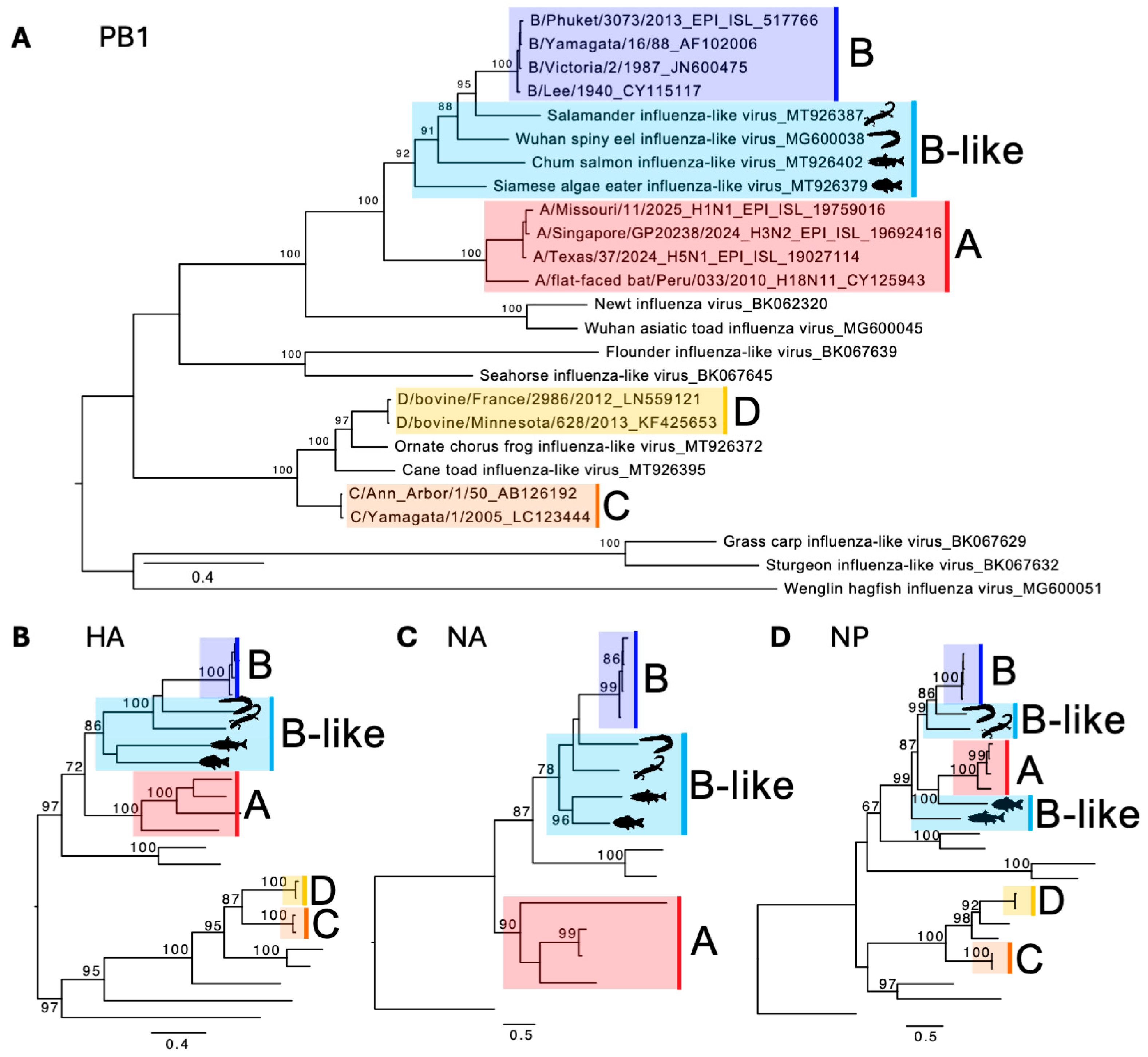 Viruses 17 01528 g002