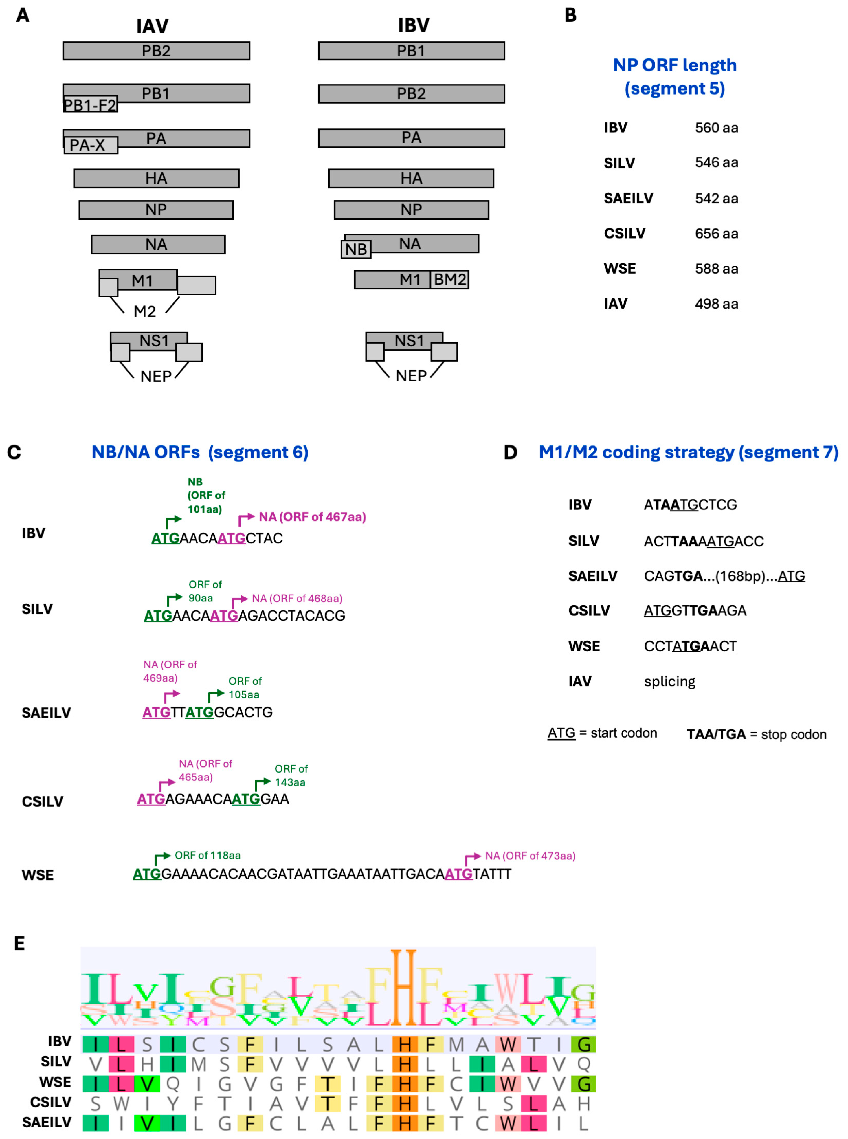 Viruses 17 01528 g003