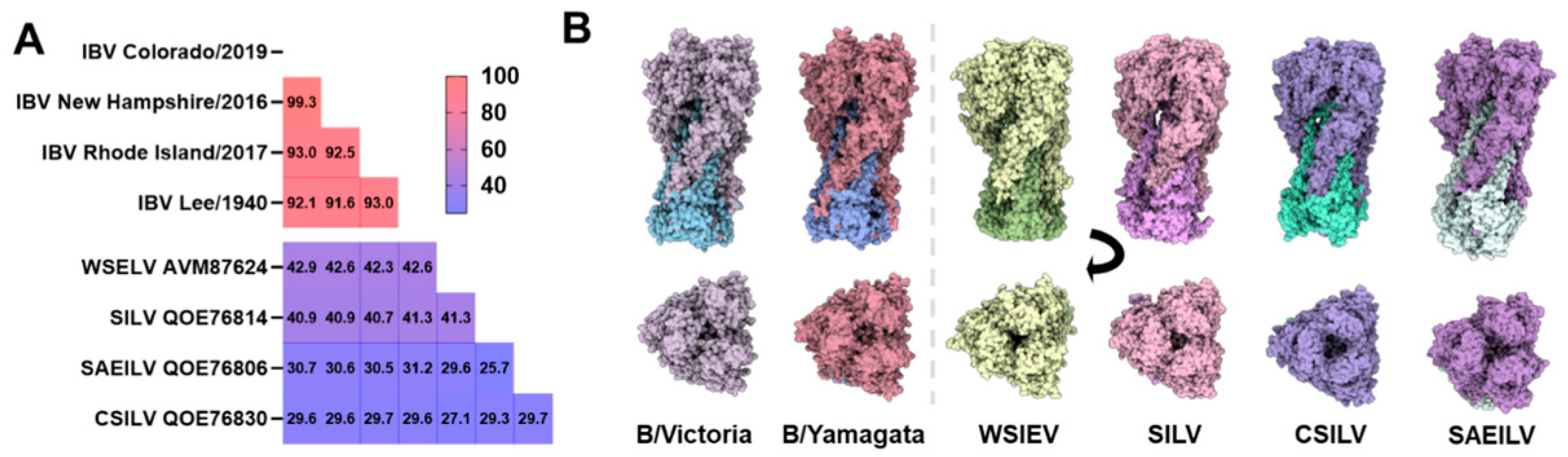 Viruses 17 01528 g004