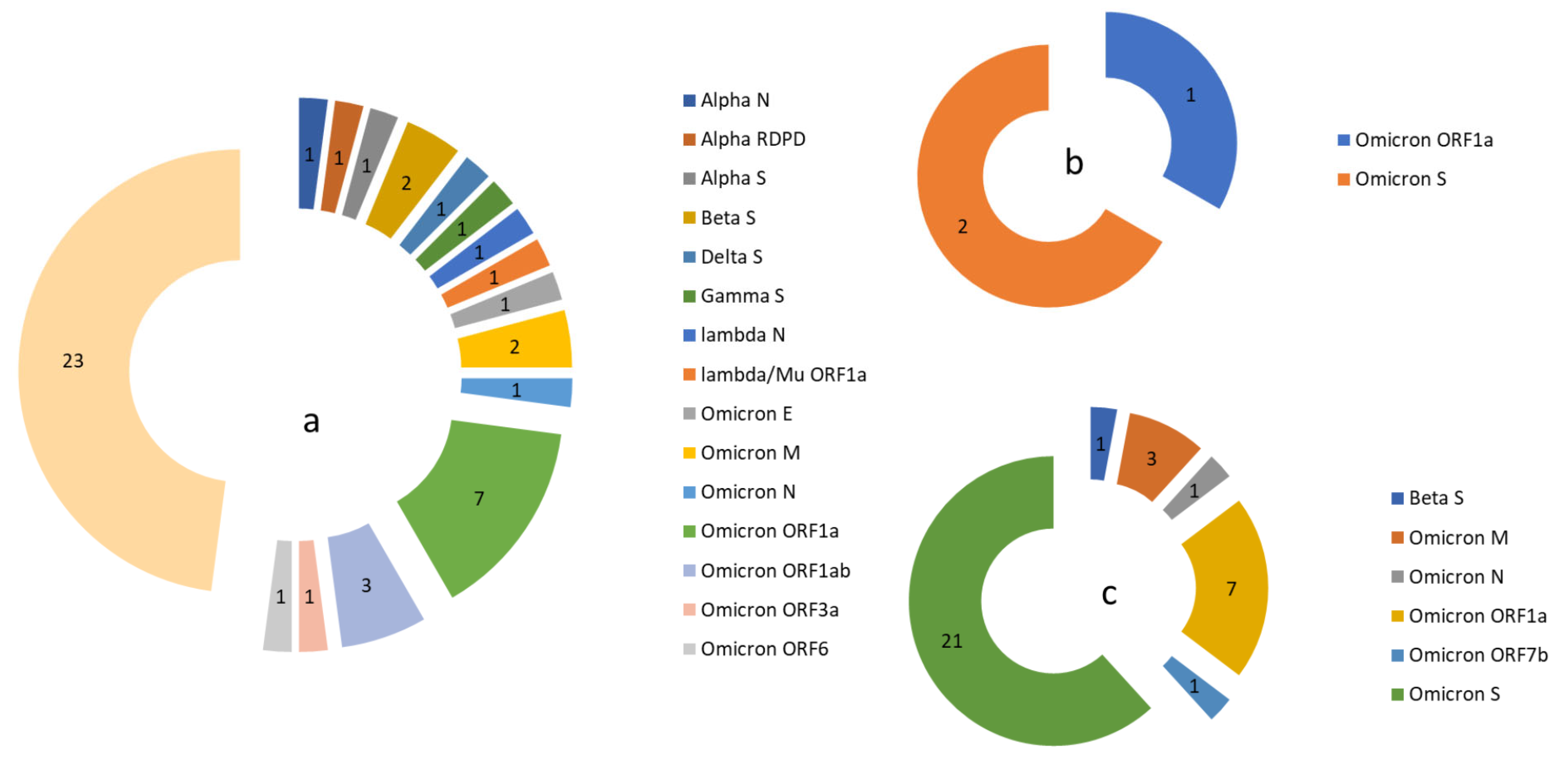 Viruses 17 01531 g005
