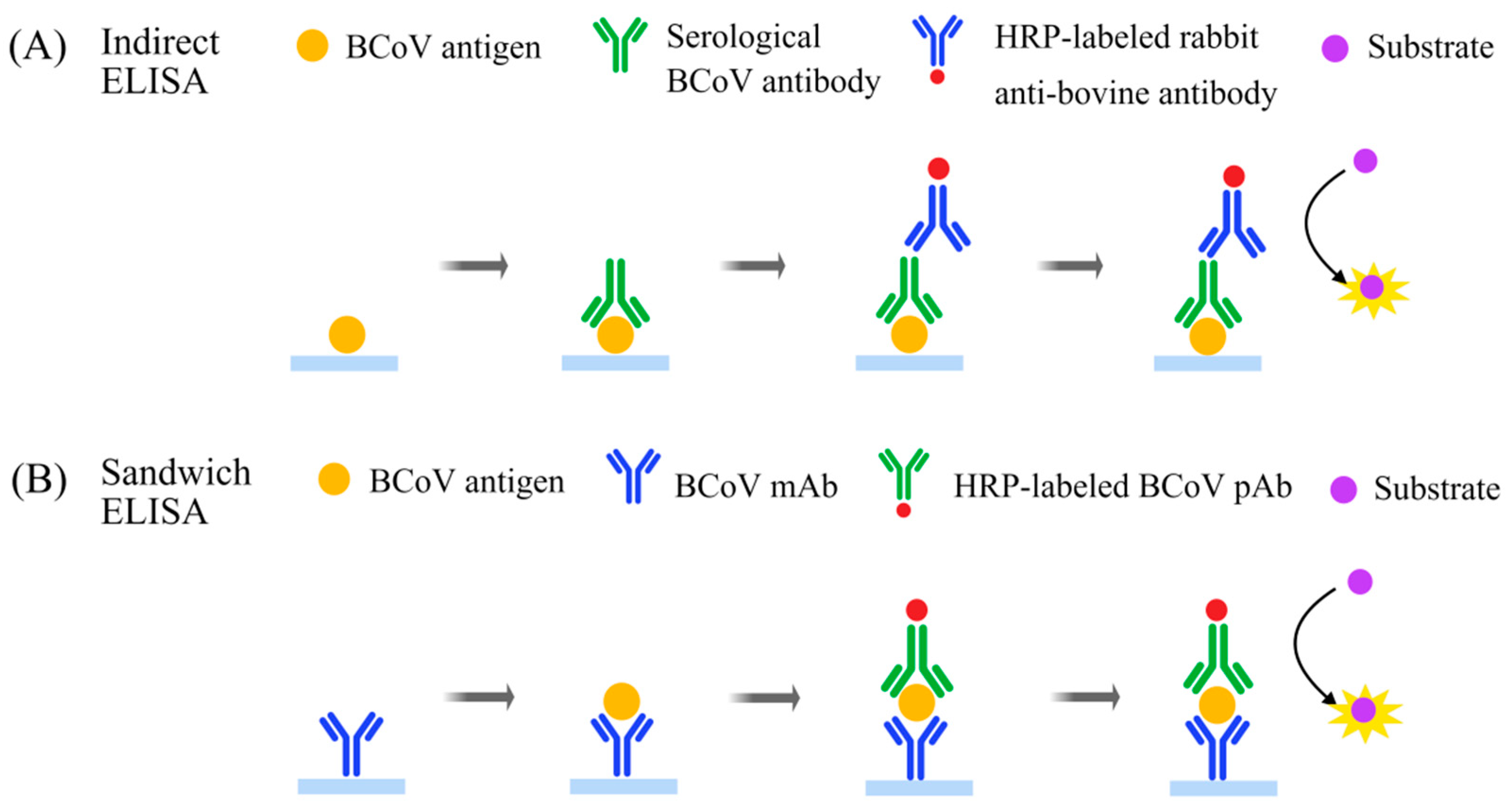 Viruses 17 01533 g004