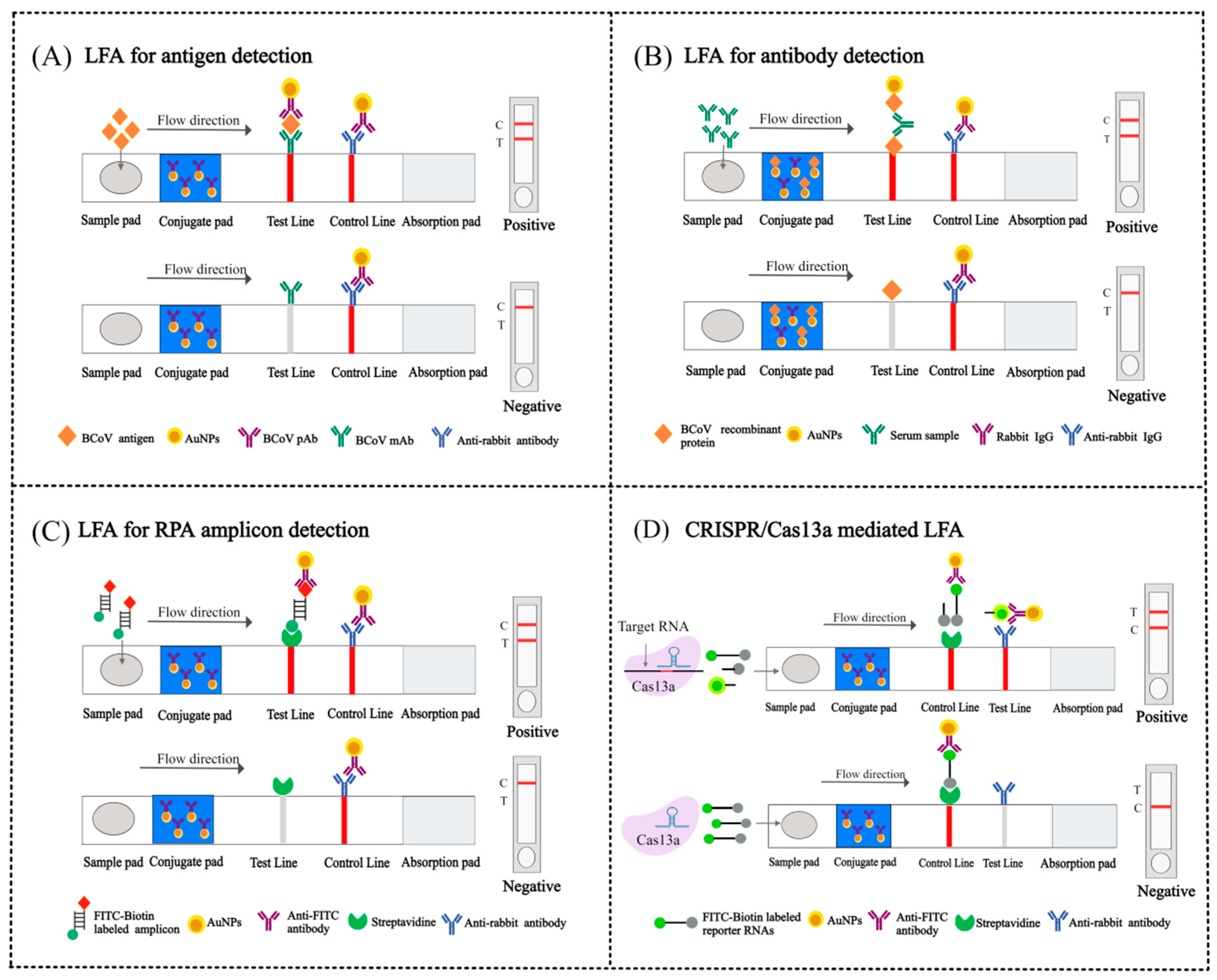 Viruses 17 01533 g005