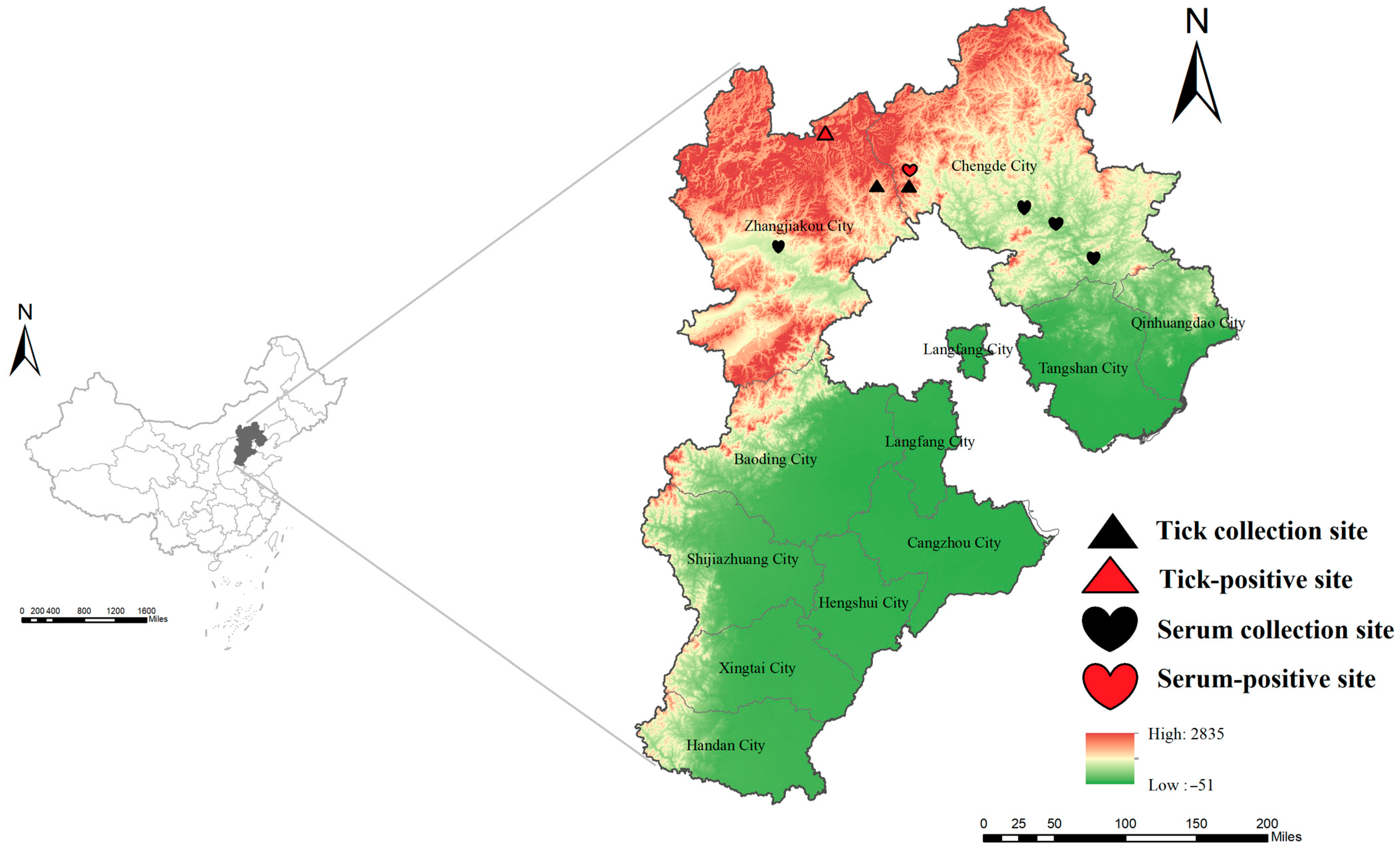 Viruses 17 01534 g001 Viruses 17 01534 g001