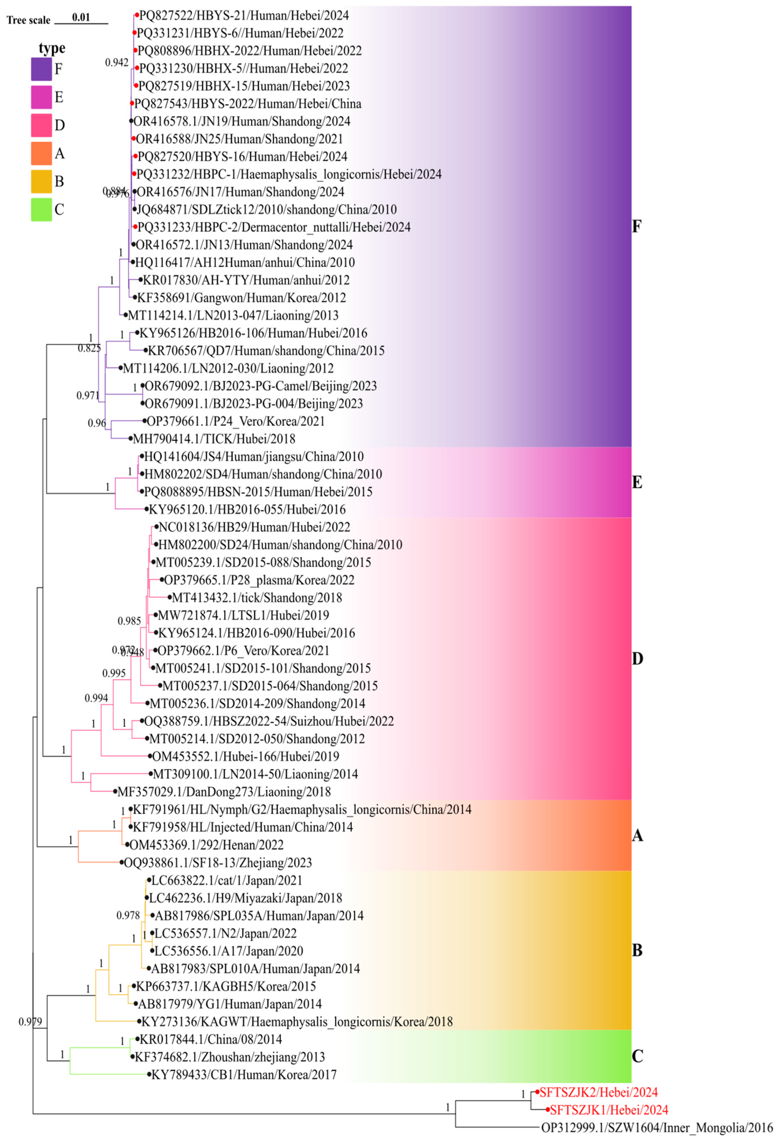 Viruses 17 01534 g002 Viruses 17 01534 g002