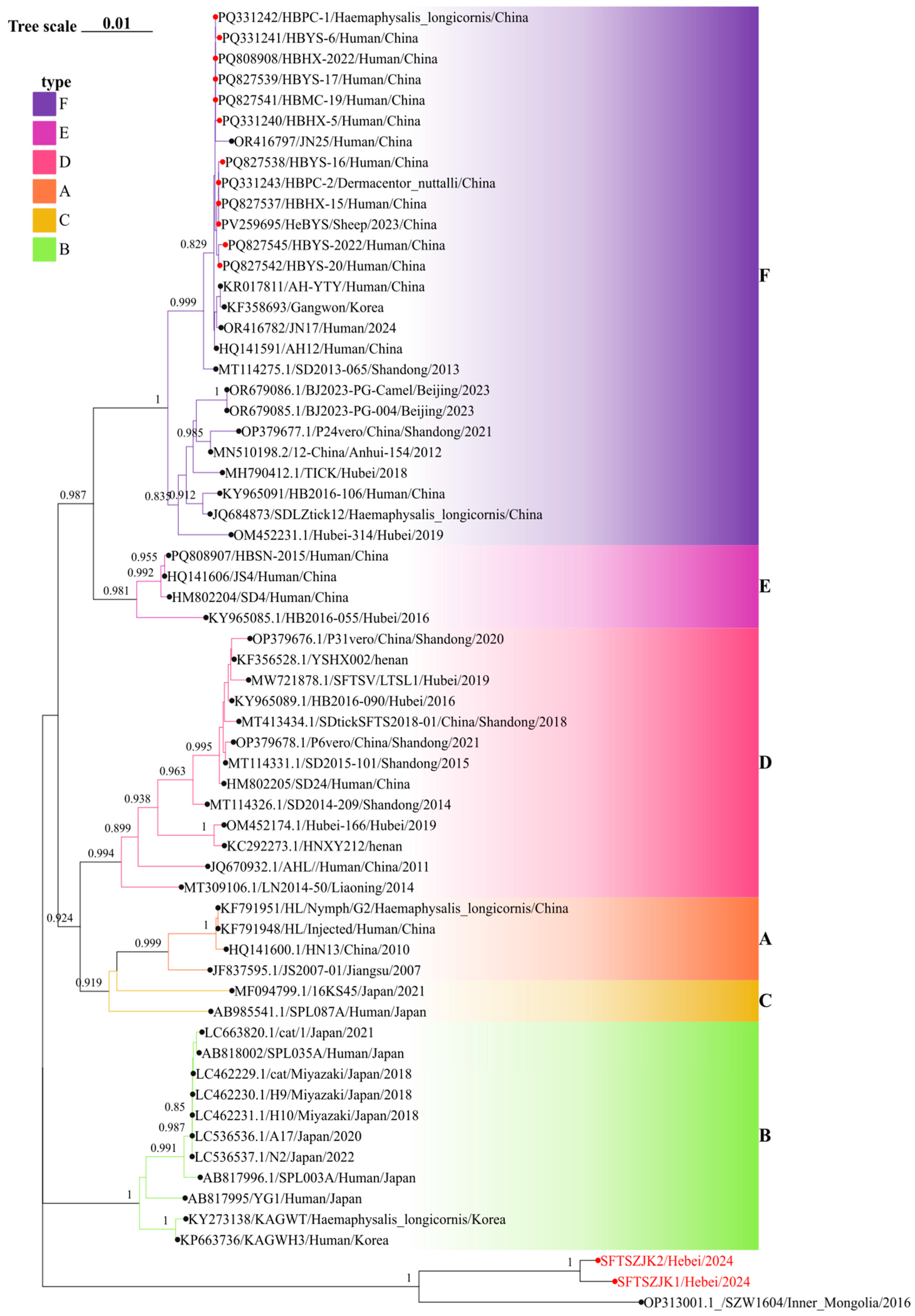 Viruses 17 01534 g004 Viruses 17 01534 g004