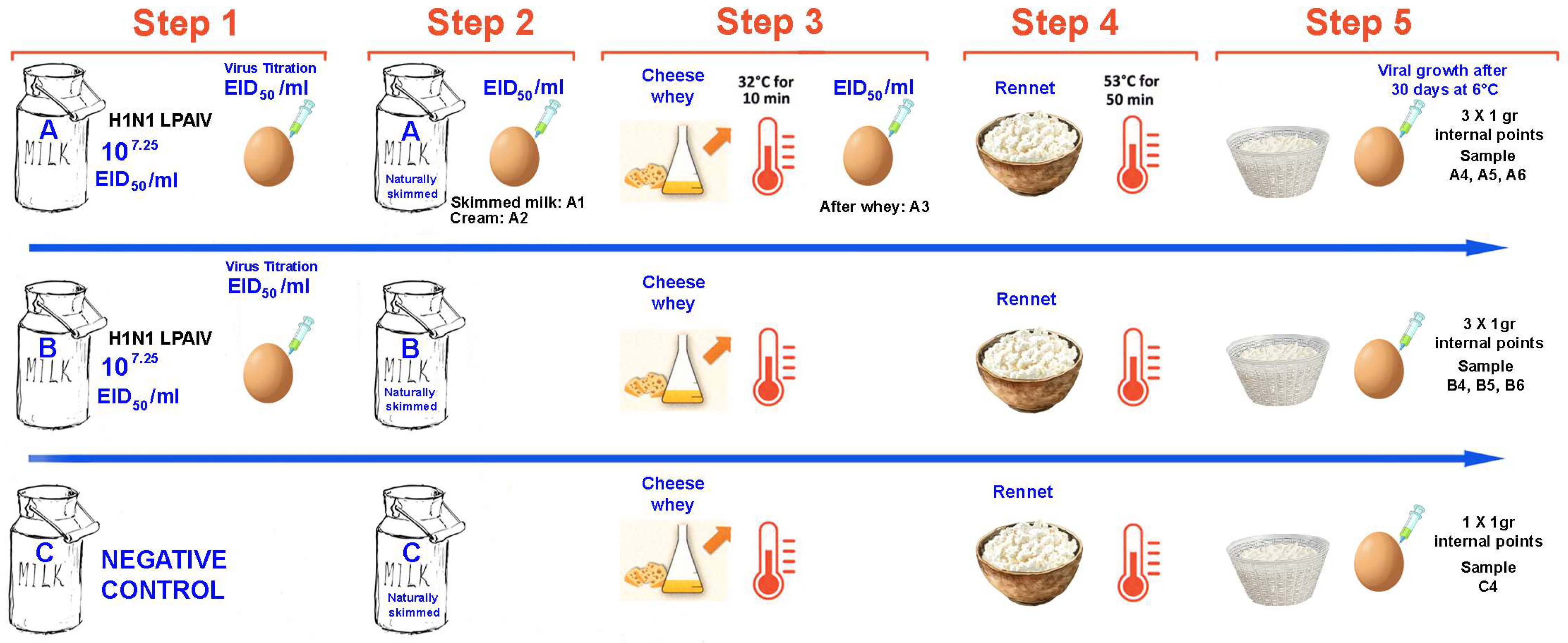 Viruses 17 01535 g001