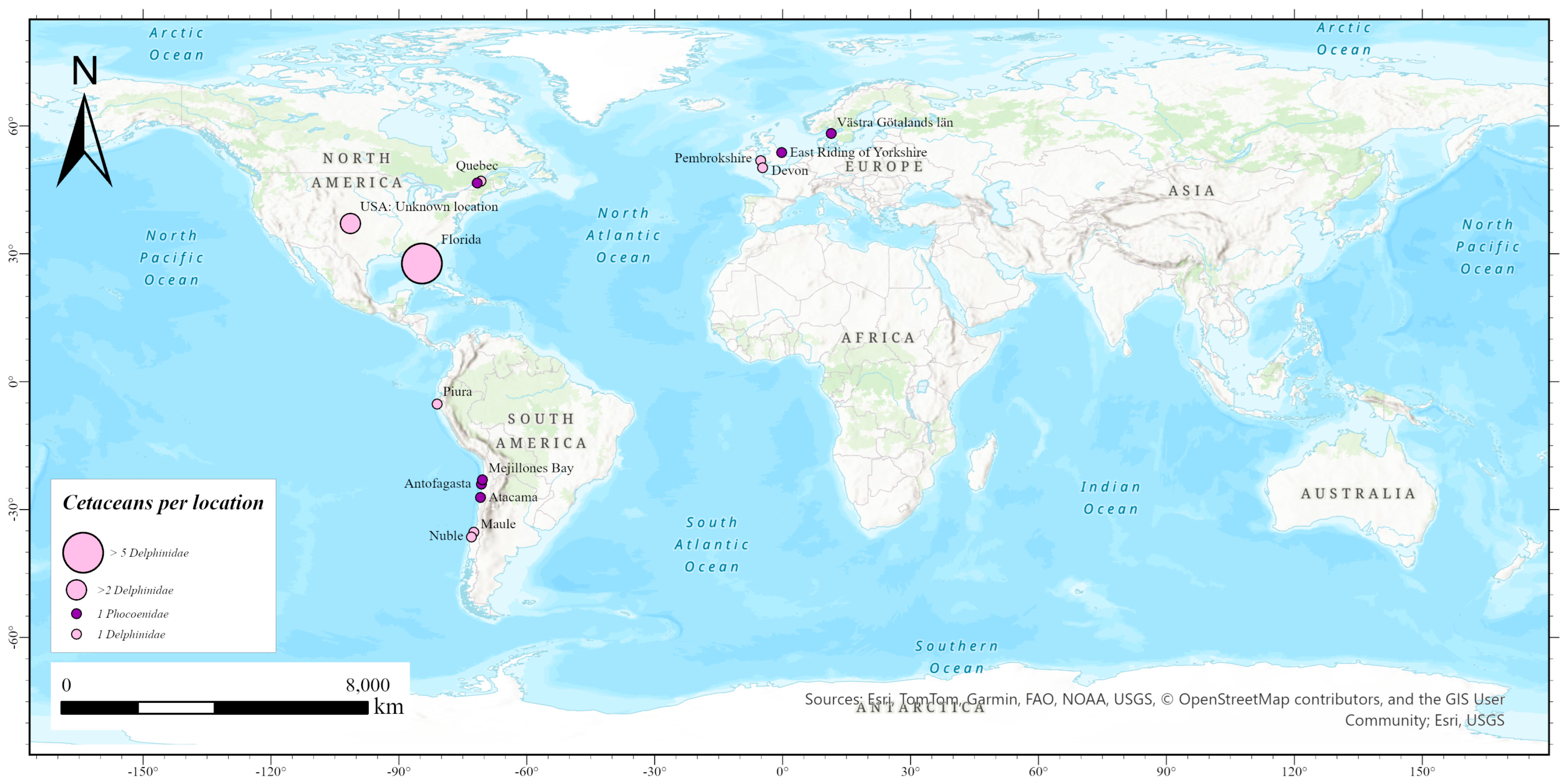 Viruses 17 01536 g001