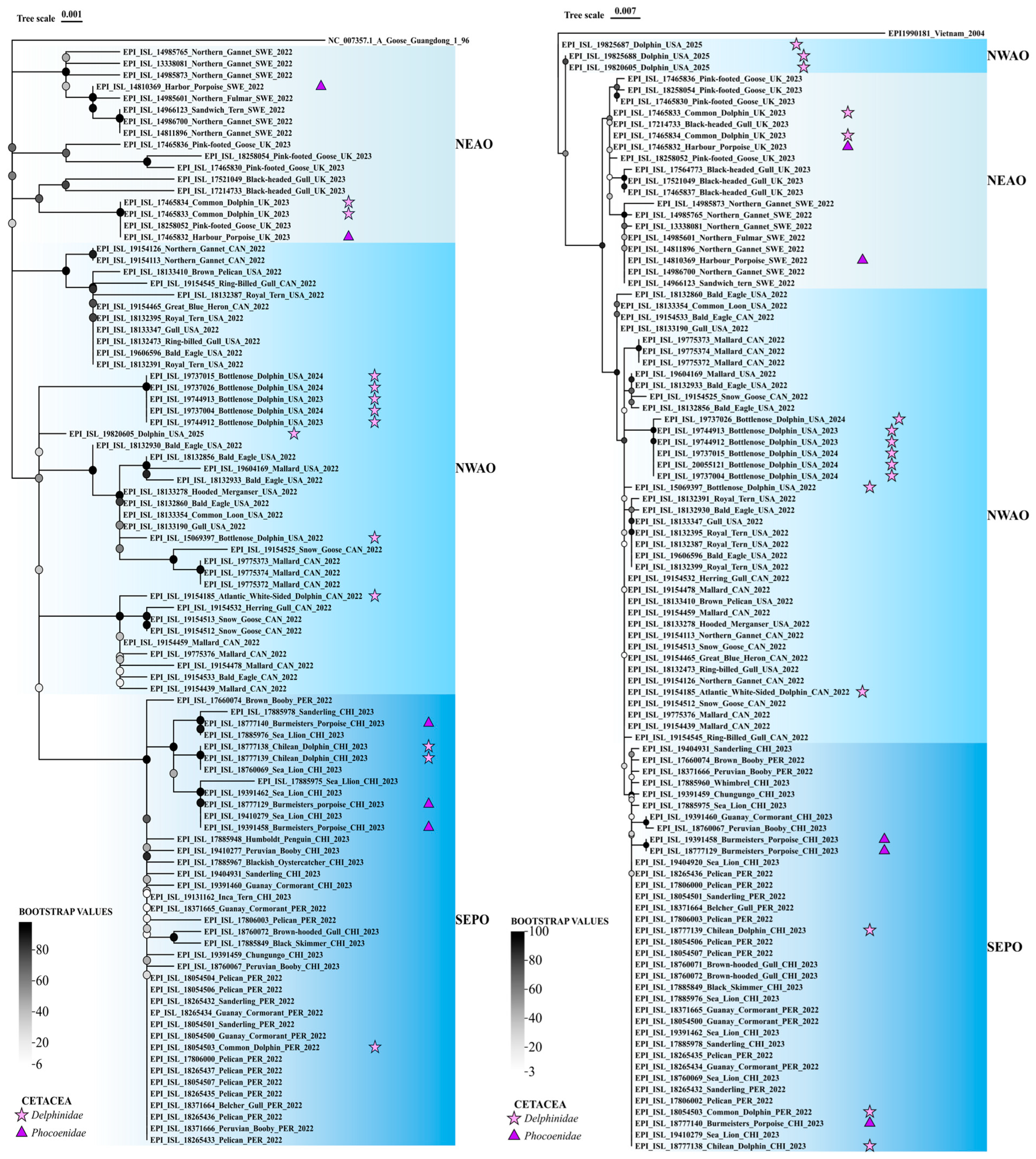 Viruses 17 01536 g002