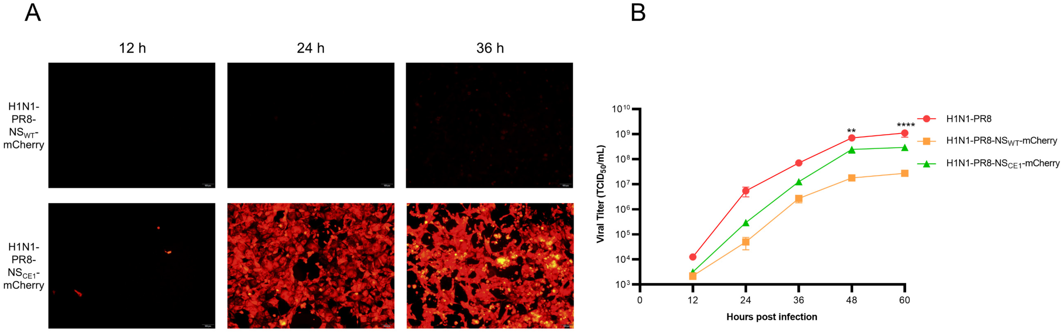 Viruses 17 01537 g002
