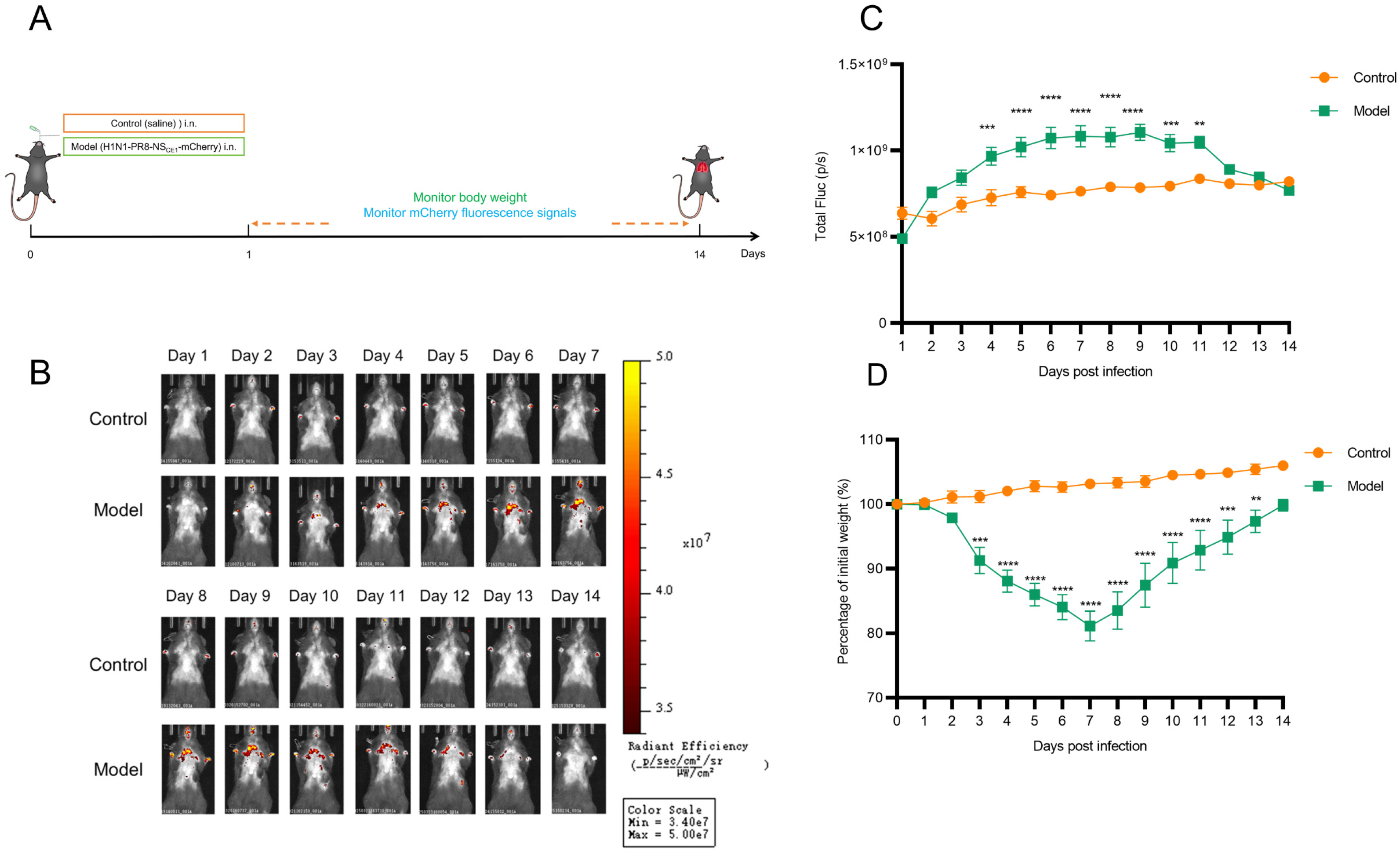 Viruses 17 01537 g004