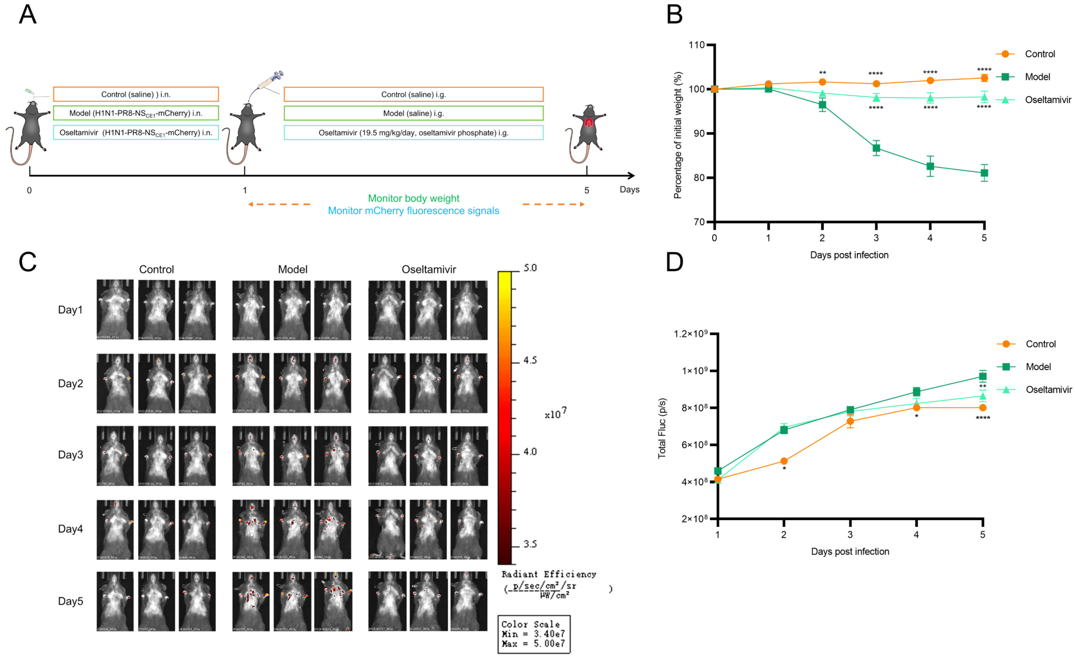 Viruses 17 01537 g006