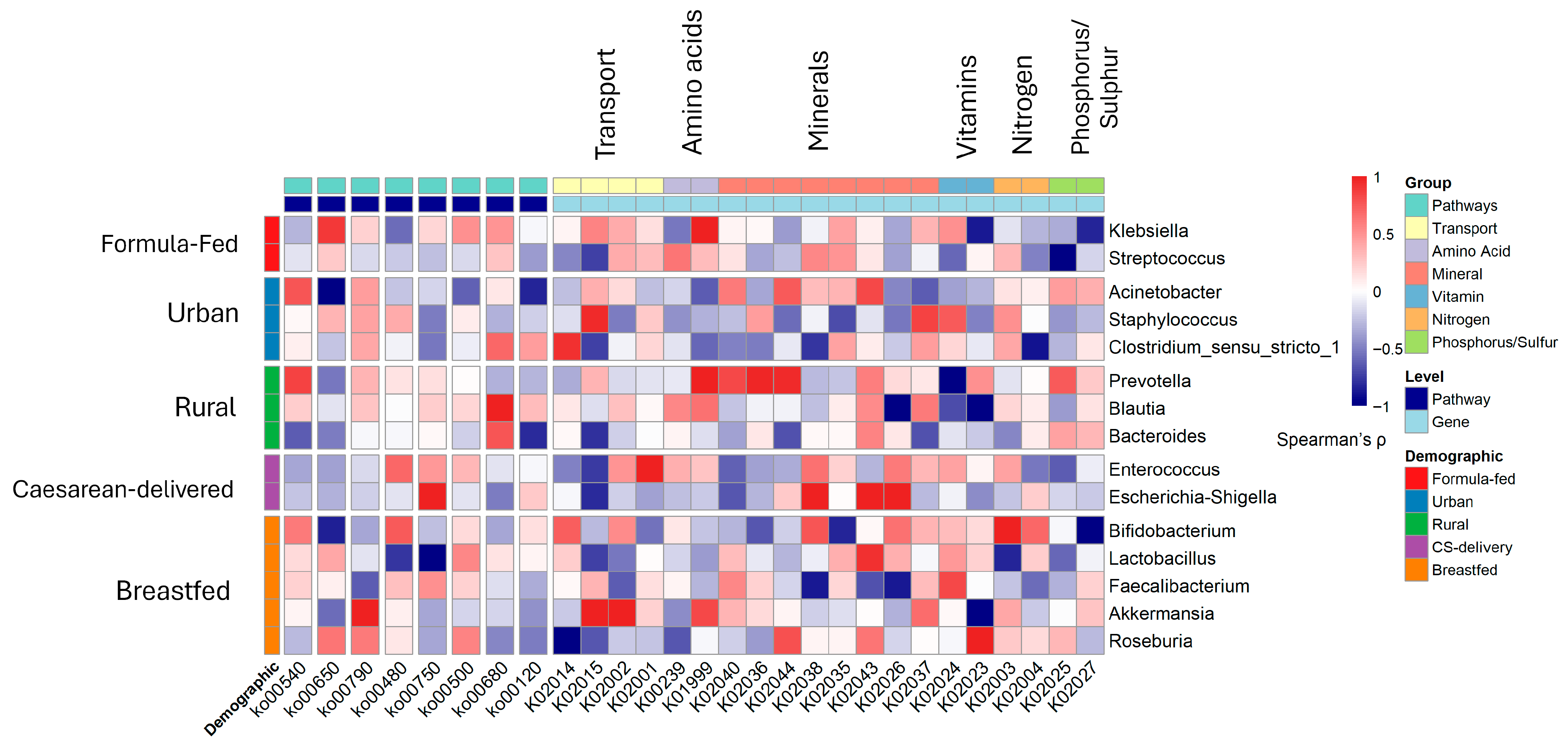 Viruses 17 01542 g006 Viruses 17 01542 g006