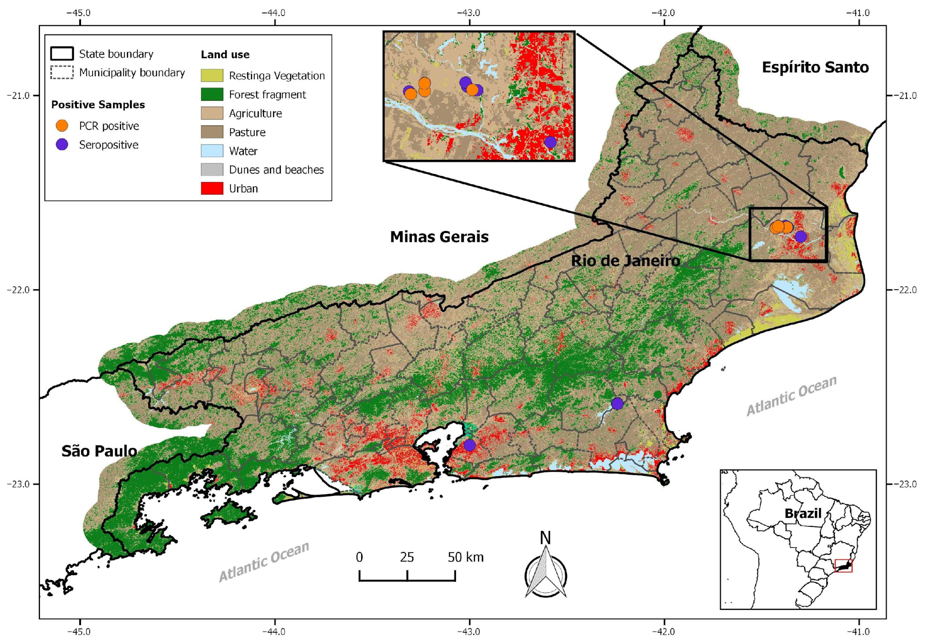 Viruses 17 01544 g001