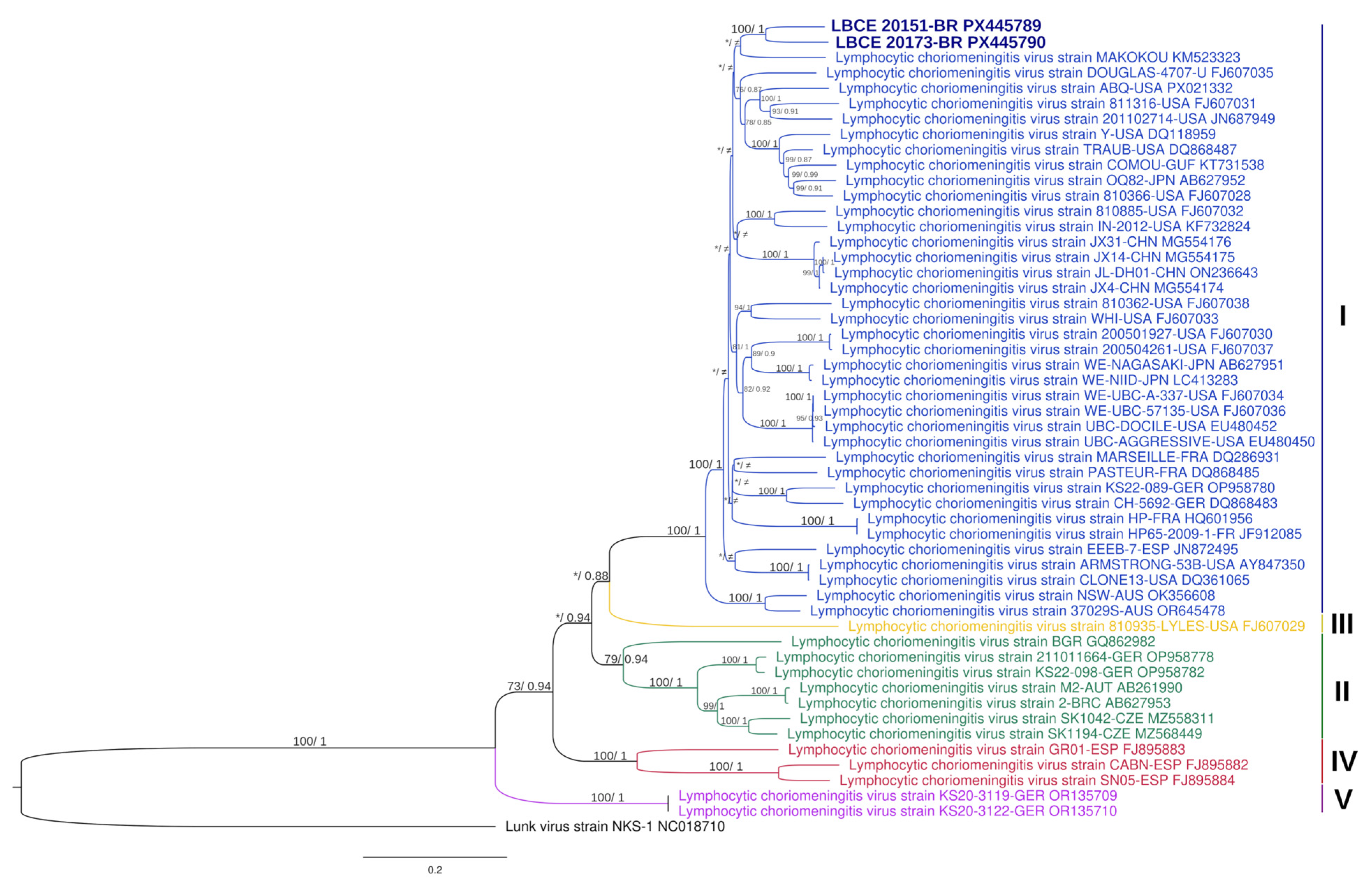 Viruses 17 01544 g002
