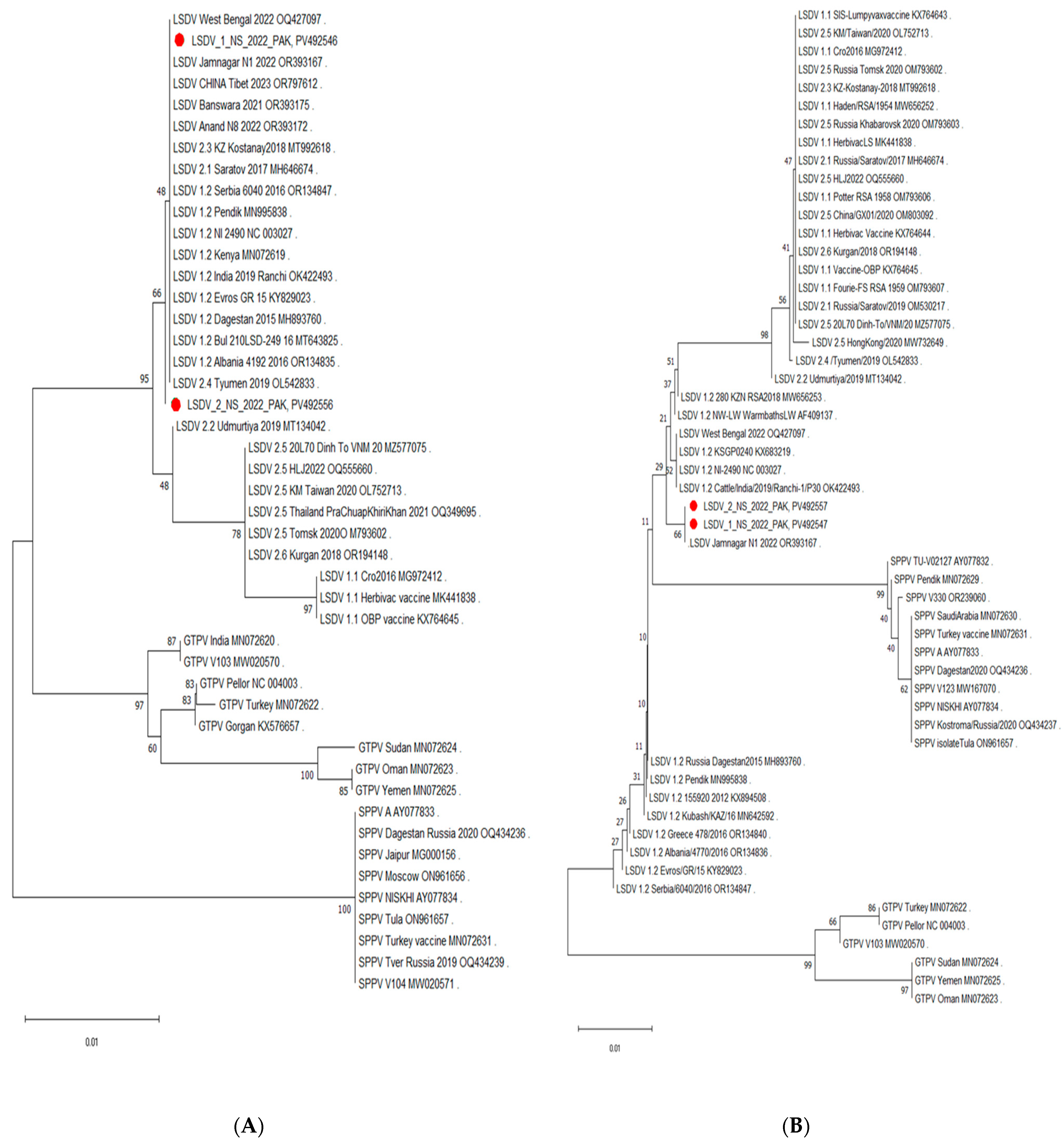 Viruses 17 01546 g003a Viruses 17 01546 g003a