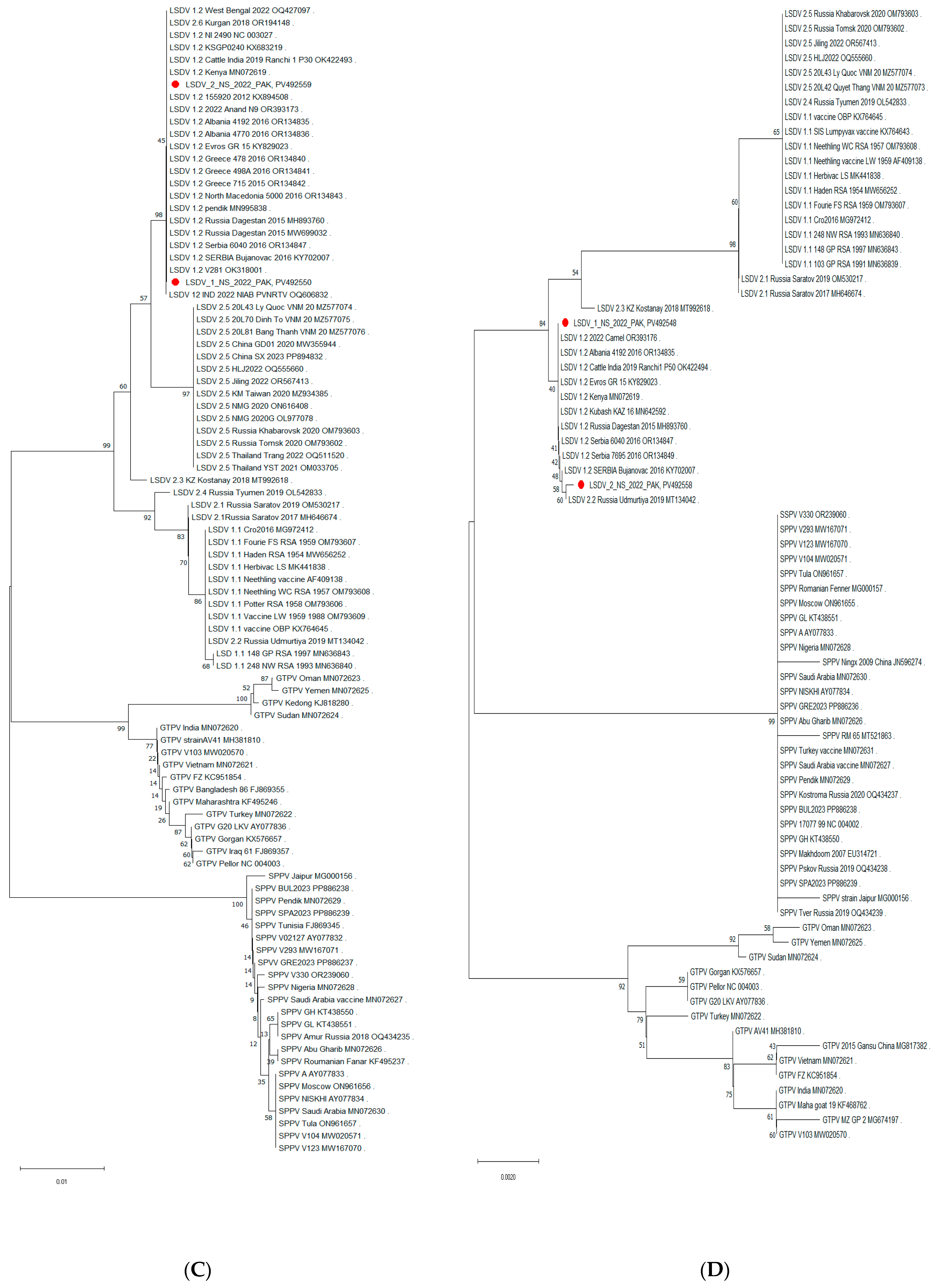 Viruses 17 01546 g003b Viruses 17 01546 g003b