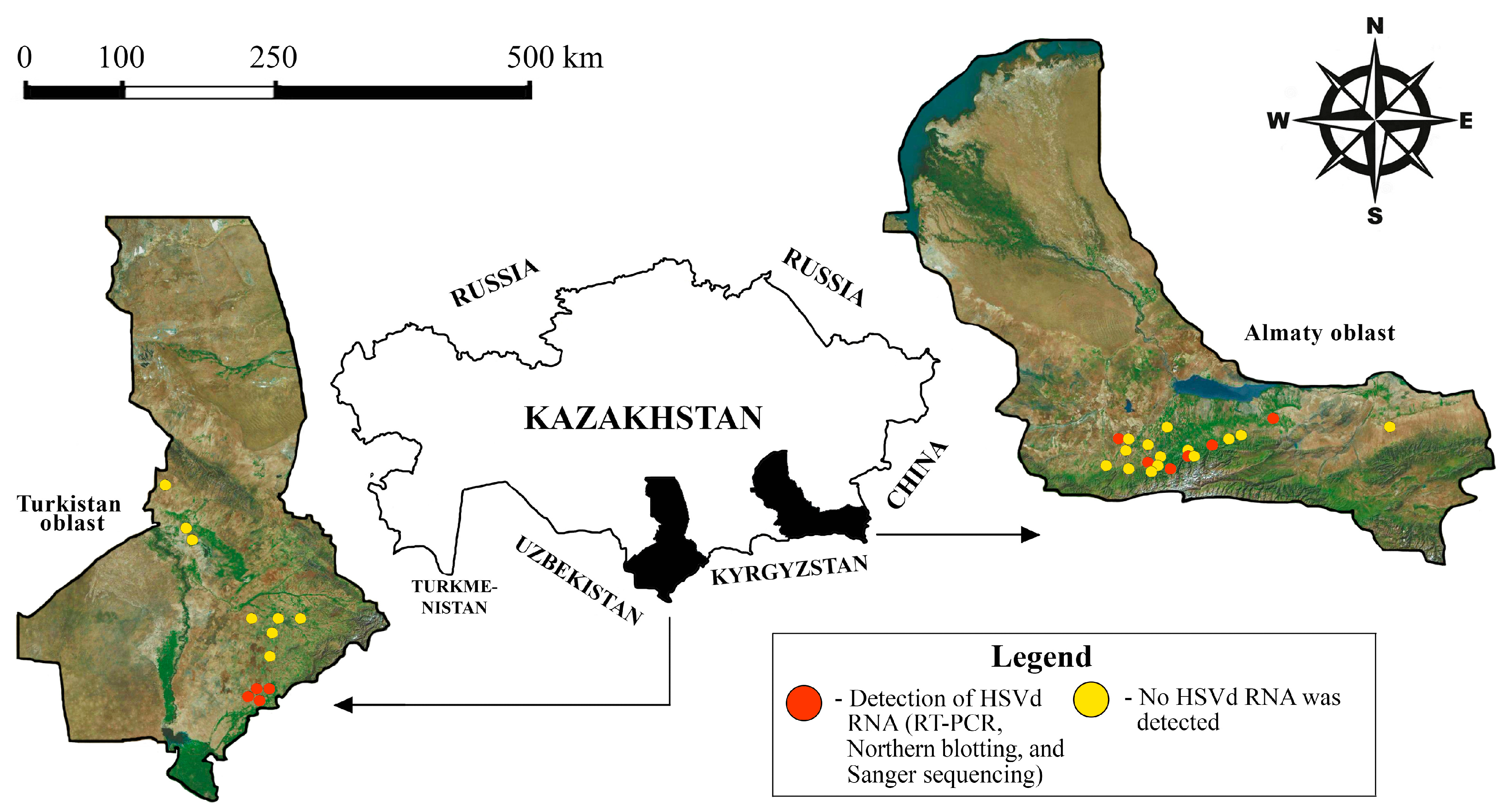 Viruses 17 01547 g001 Viruses 17 01547 g001