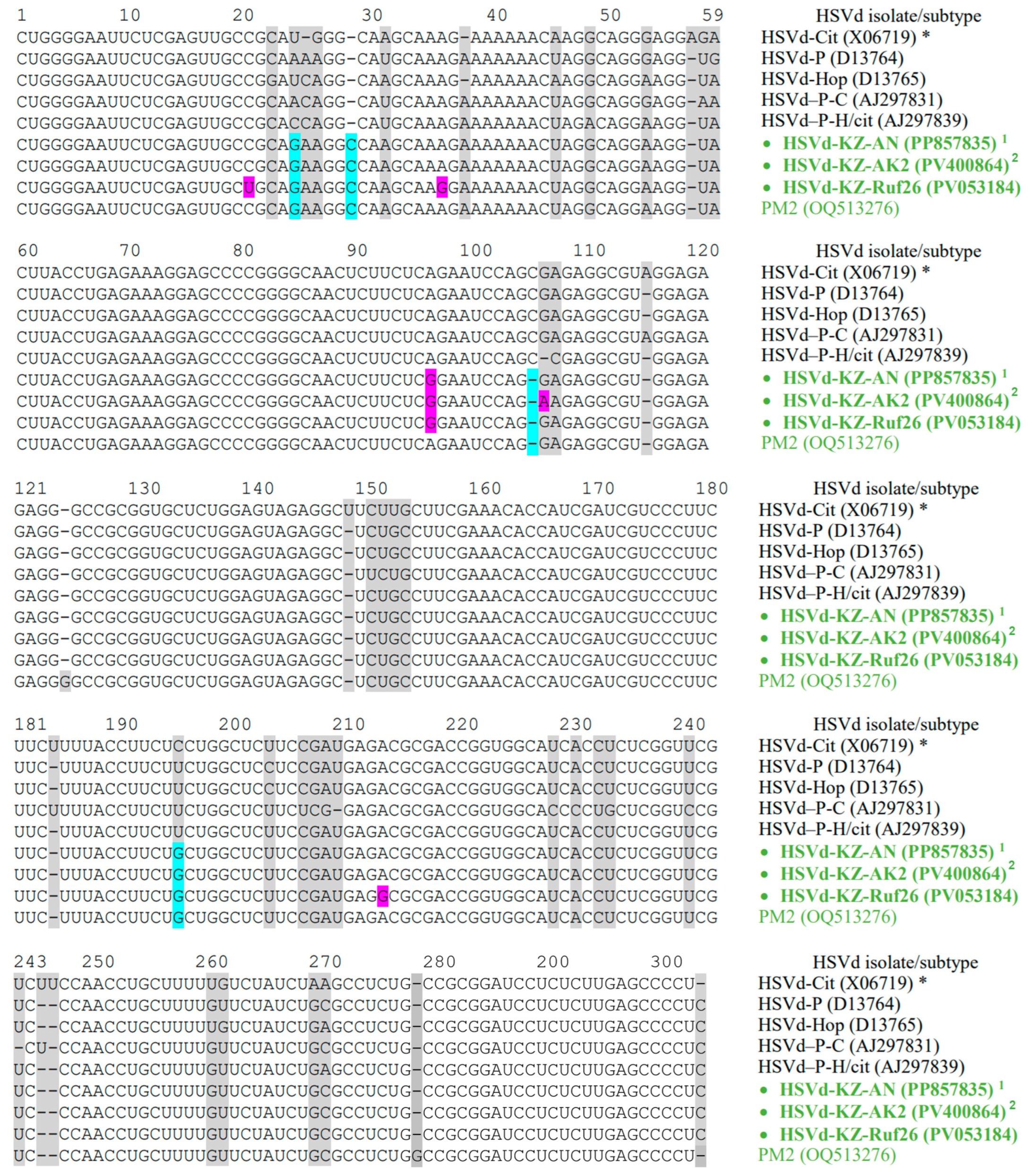 Viruses 17 01547 g003 Viruses 17 01547 g003