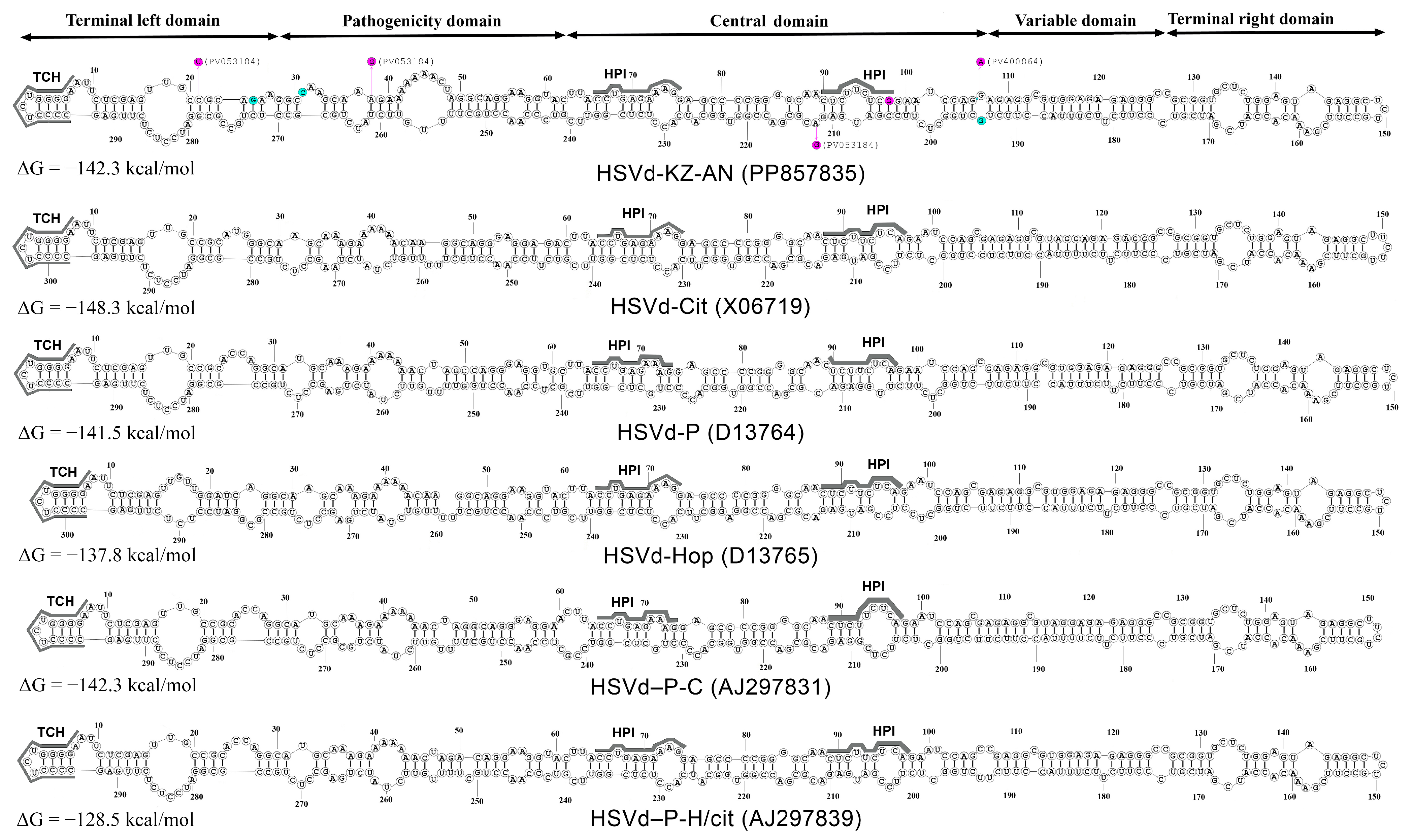 Viruses 17 01547 g005 Viruses 17 01547 g005
