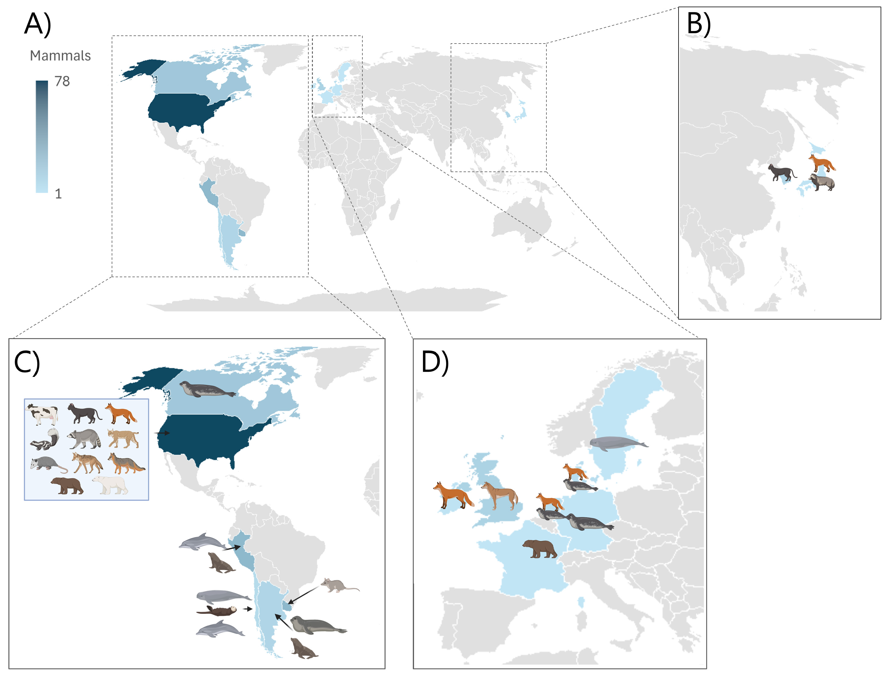 Viruses 17 01548 g003 Viruses 17 01548 g003