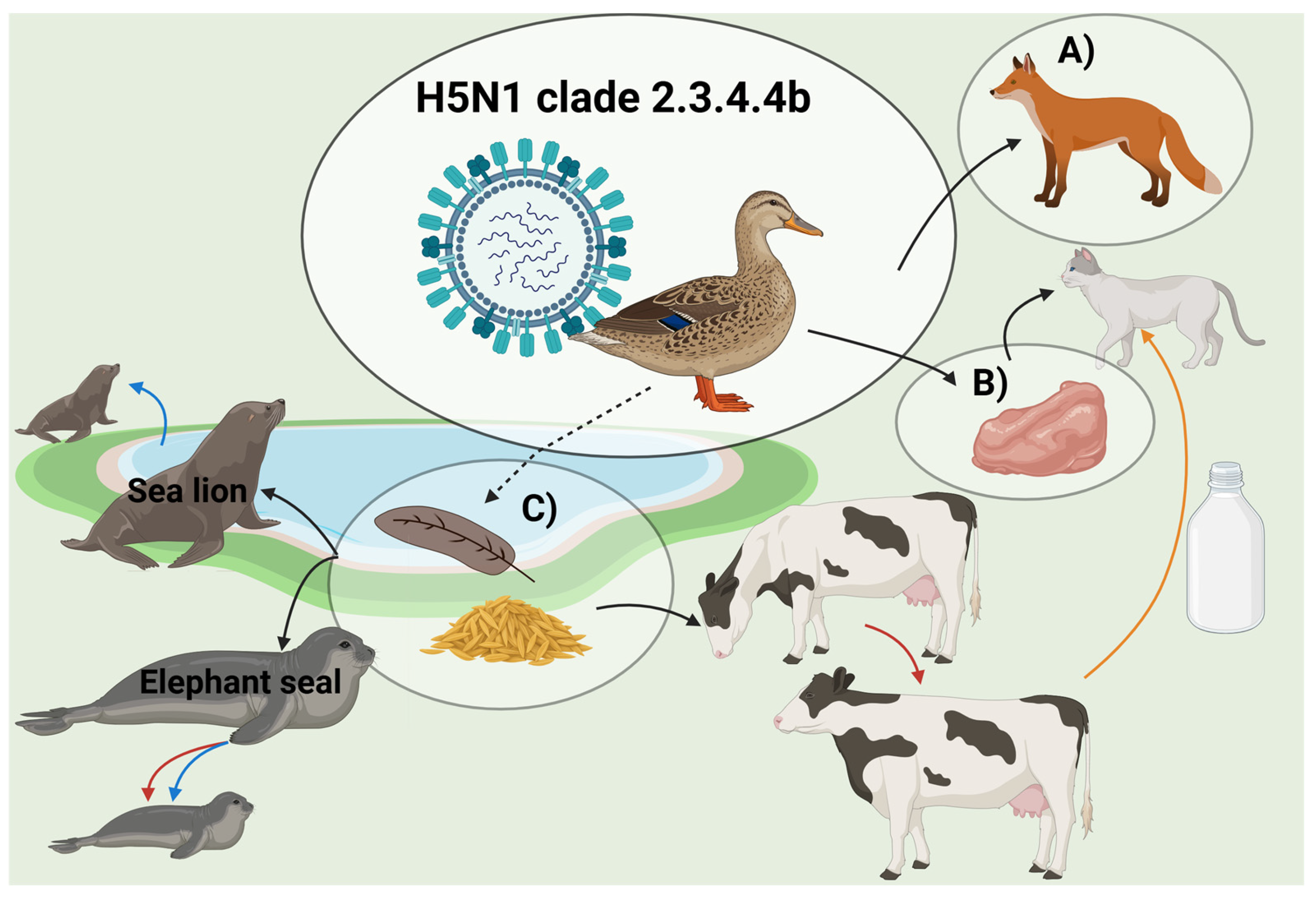 Viruses 17 01548 g004 Viruses 17 01548 g004