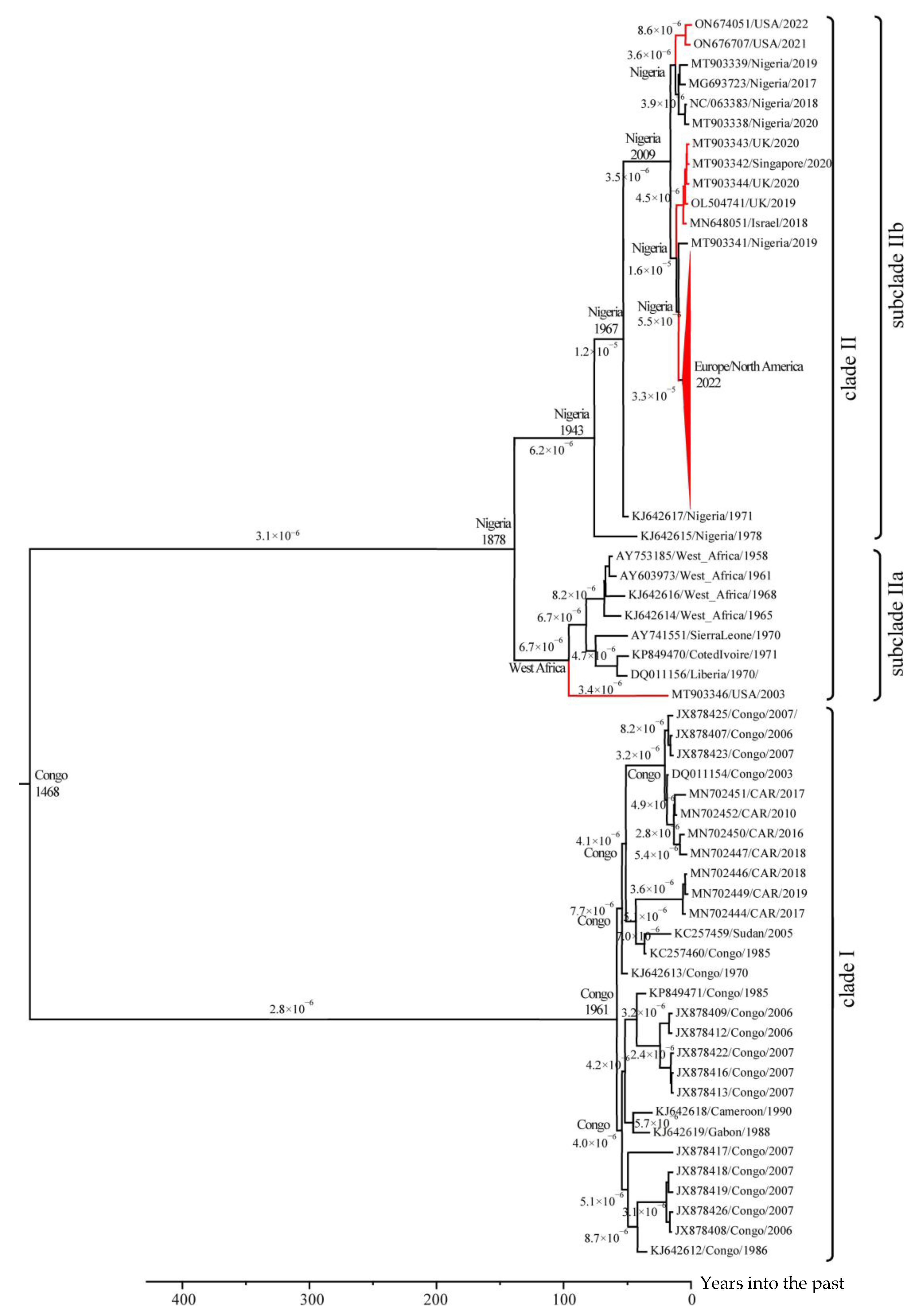 Viruses 17 01549 g002