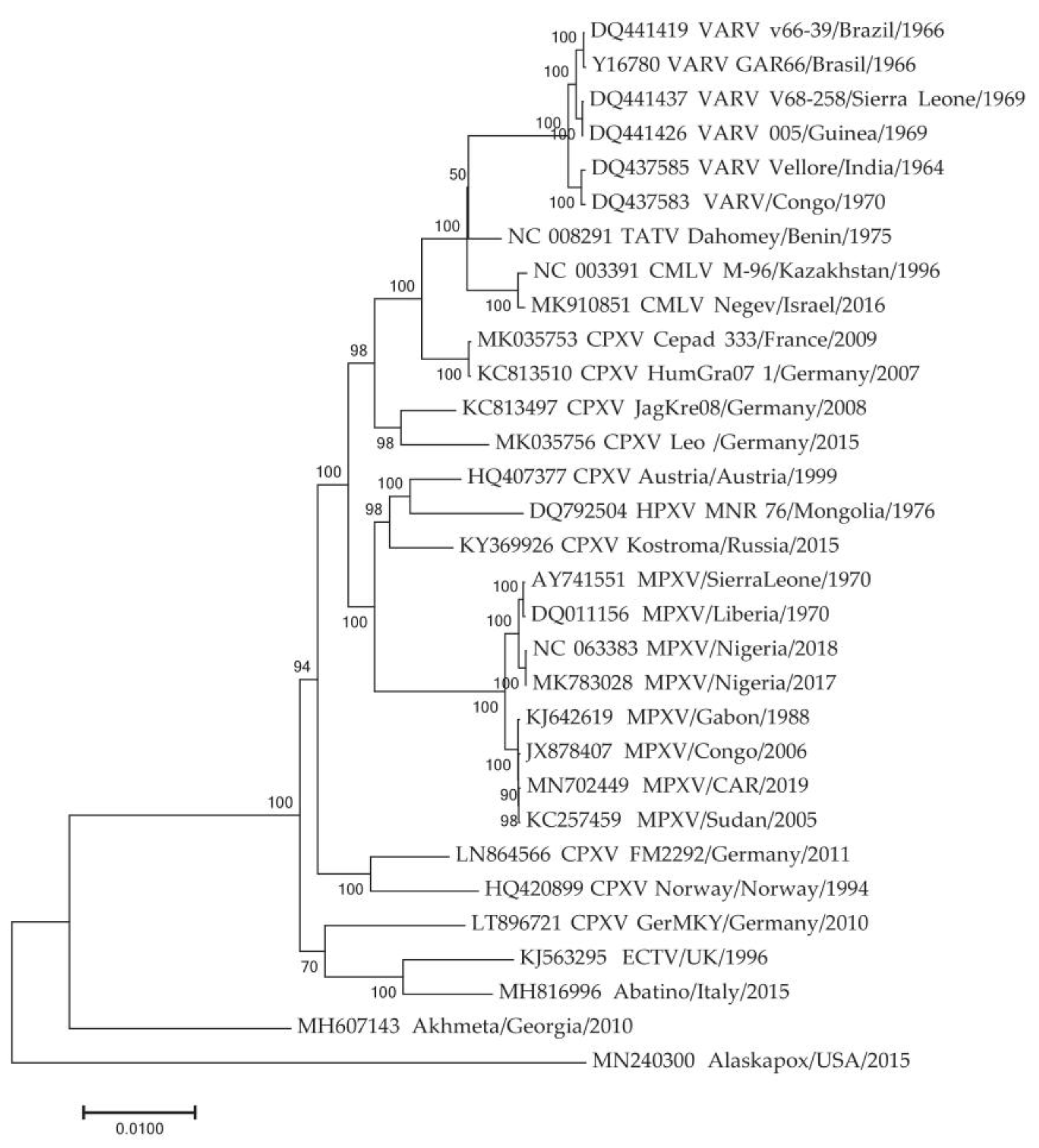 Viruses 17 01549 g003