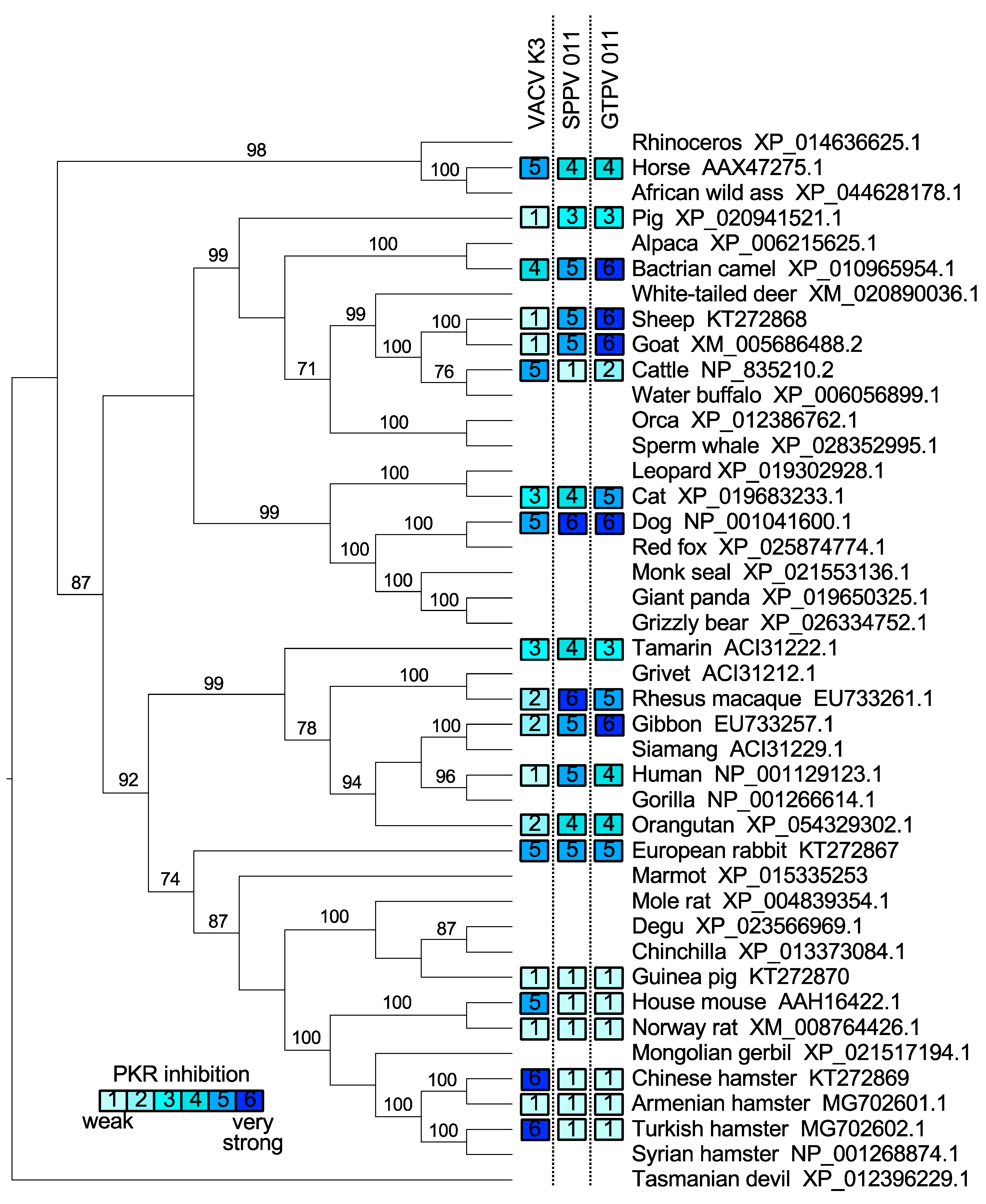 Viruses 17 01550 g002