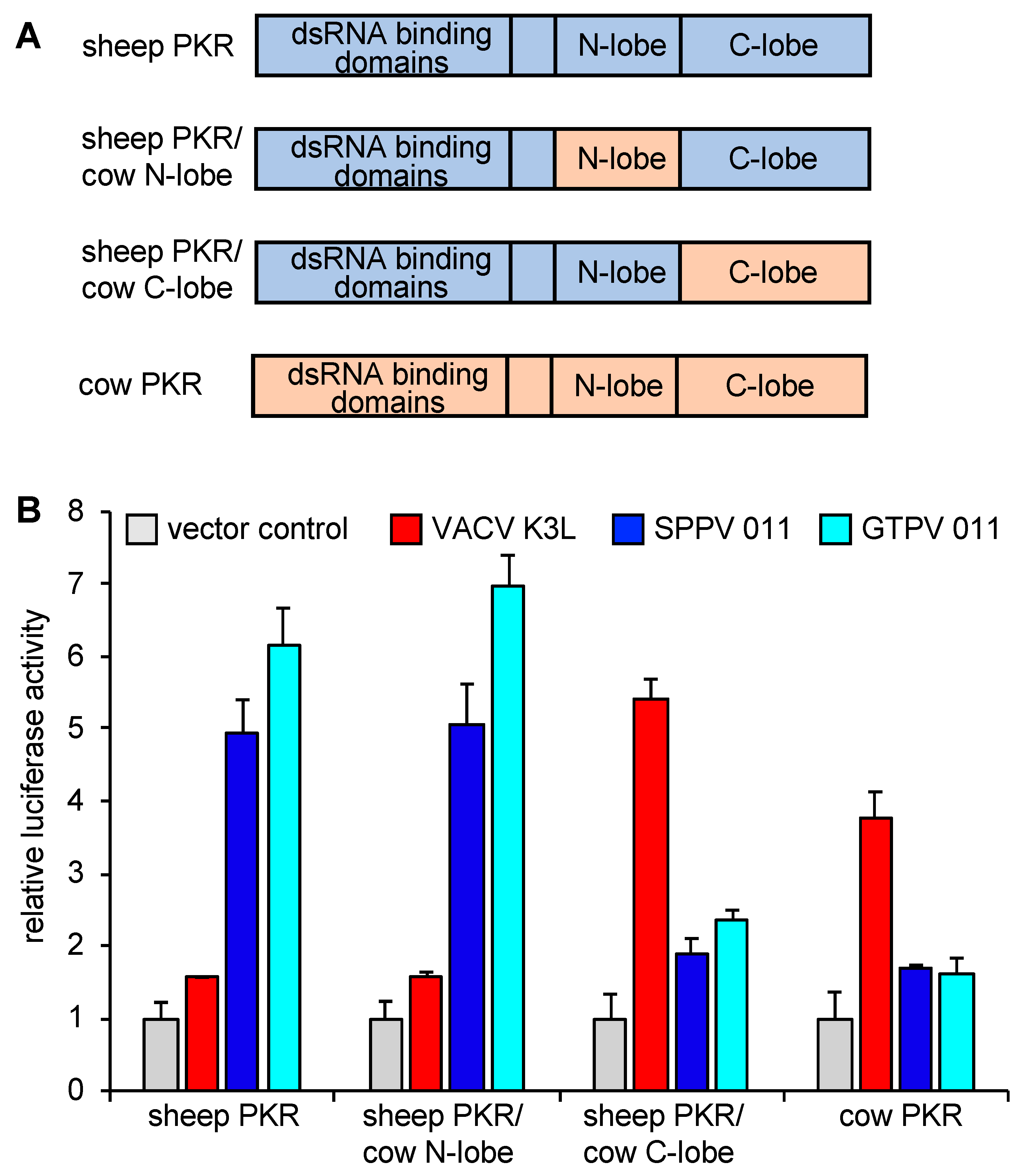 Viruses 17 01550 g003