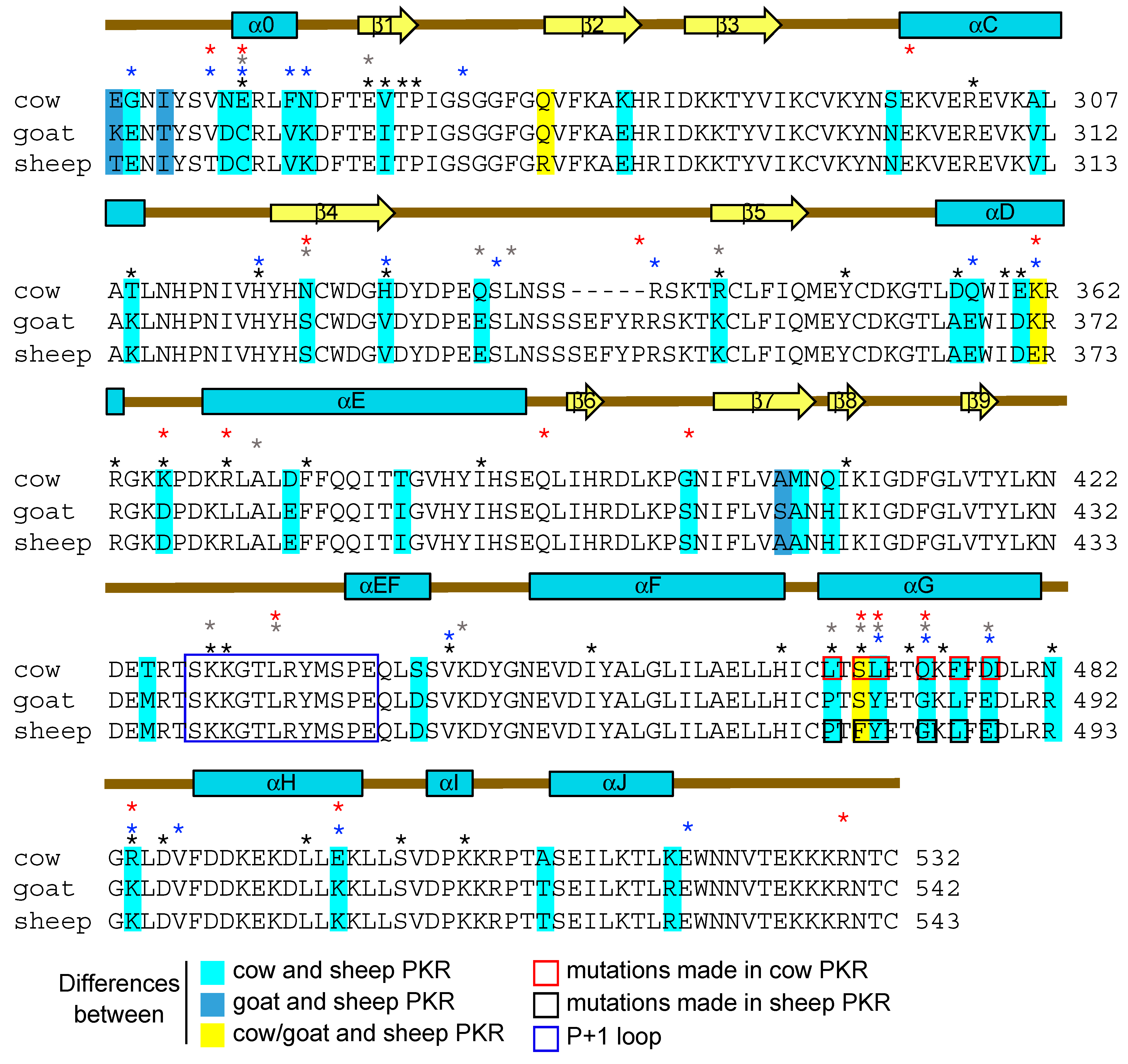 Viruses 17 01550 g004