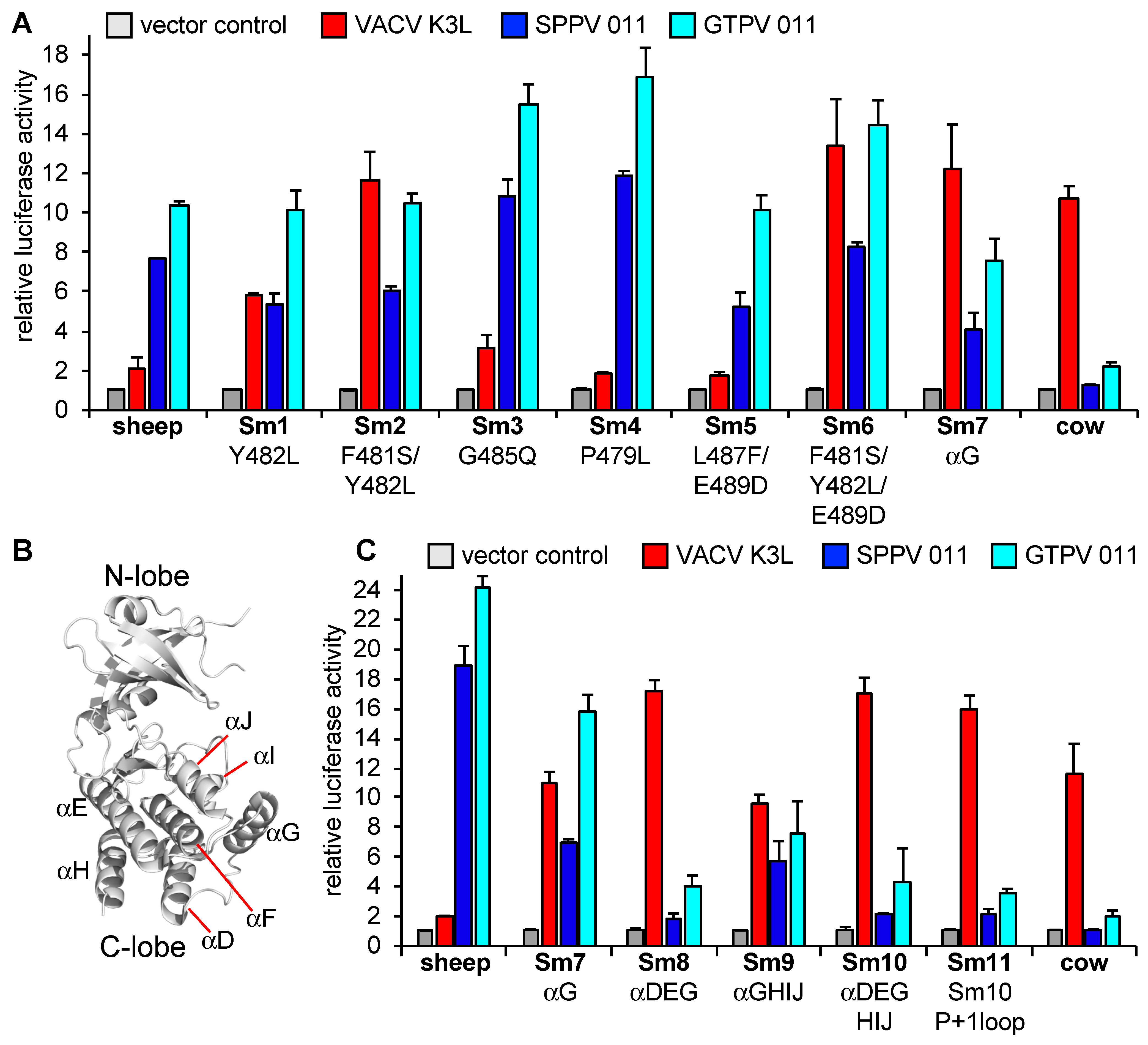 Viruses 17 01550 g006