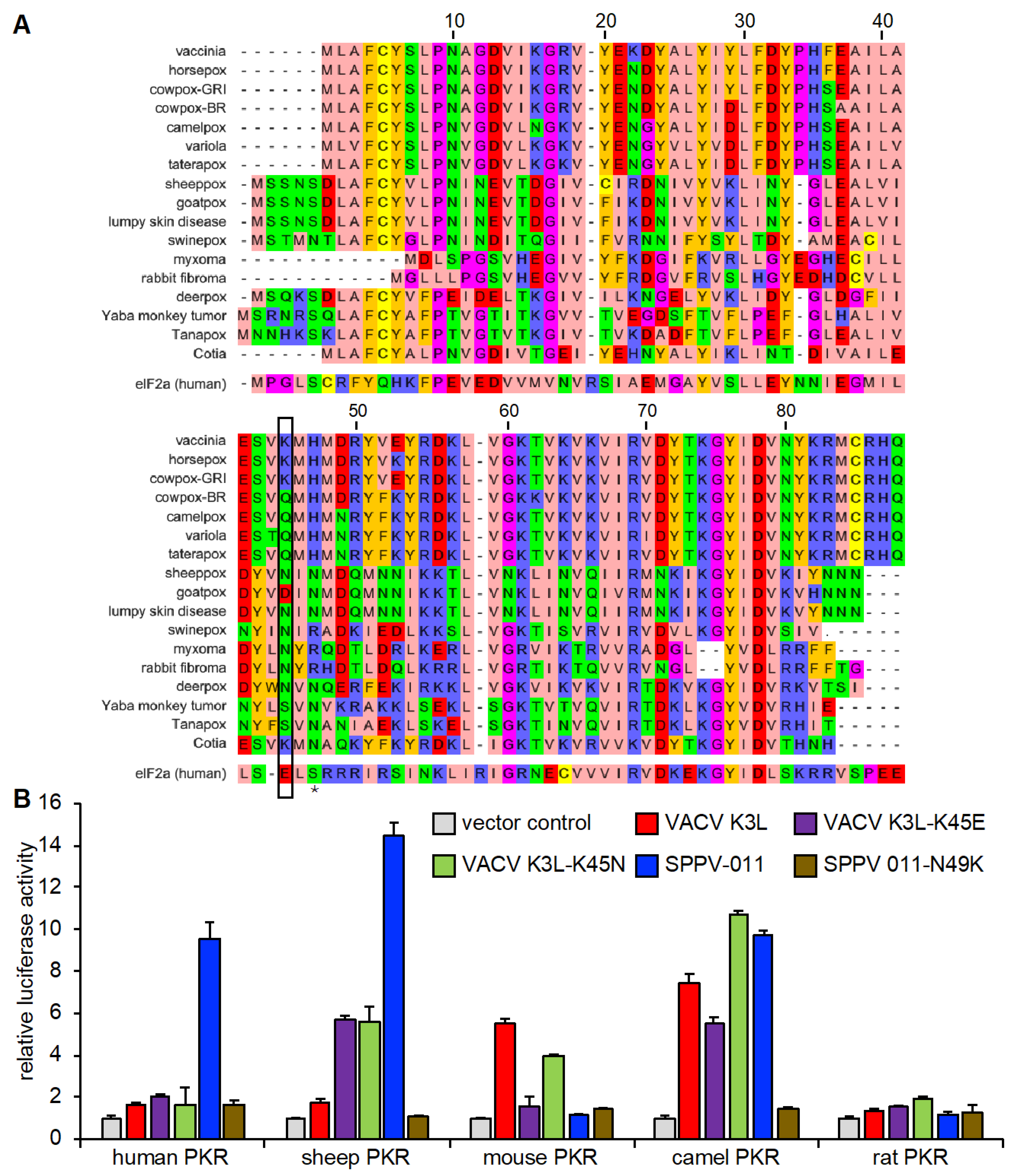 Viruses 17 01550 g007