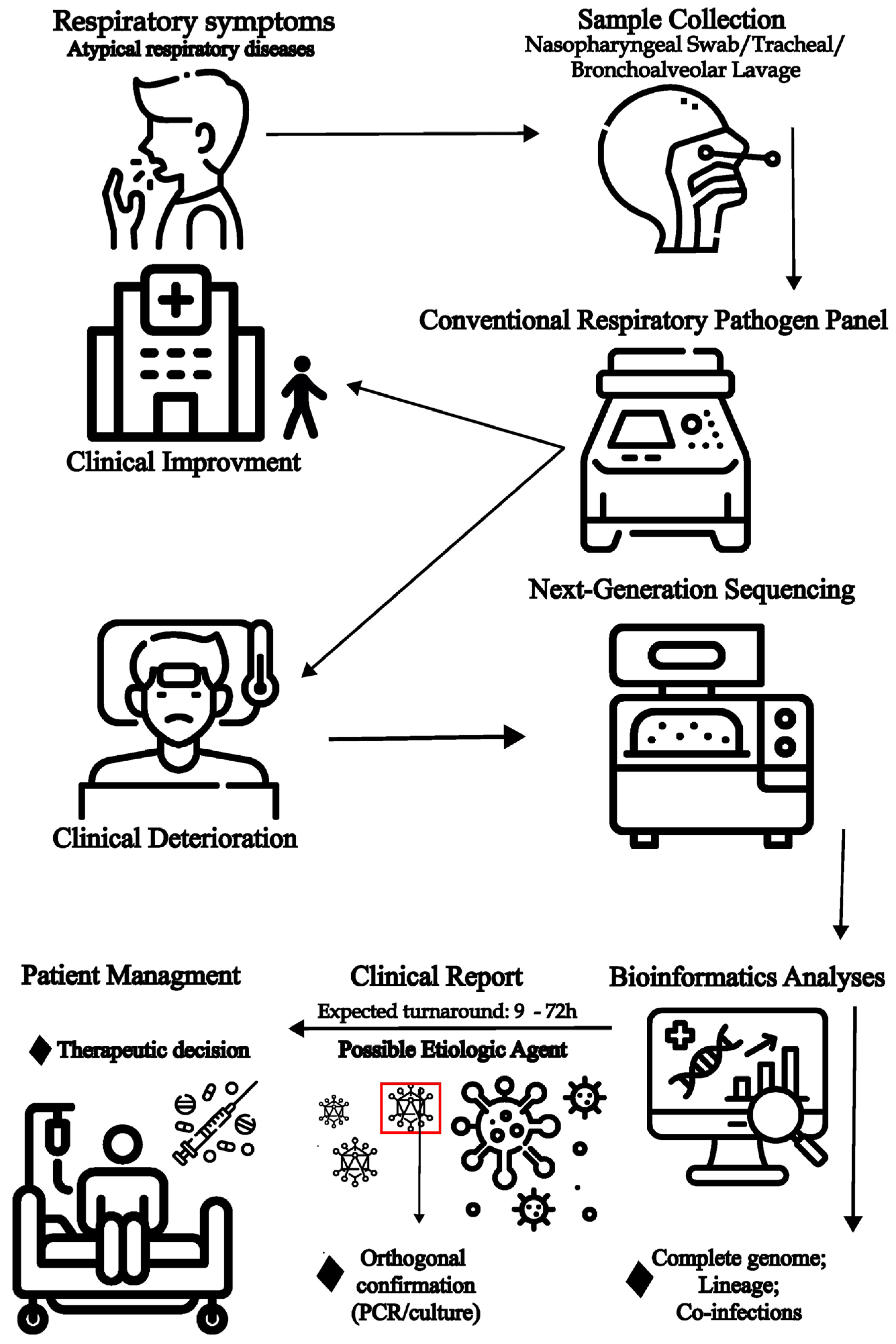Viruses 17 01554 g002